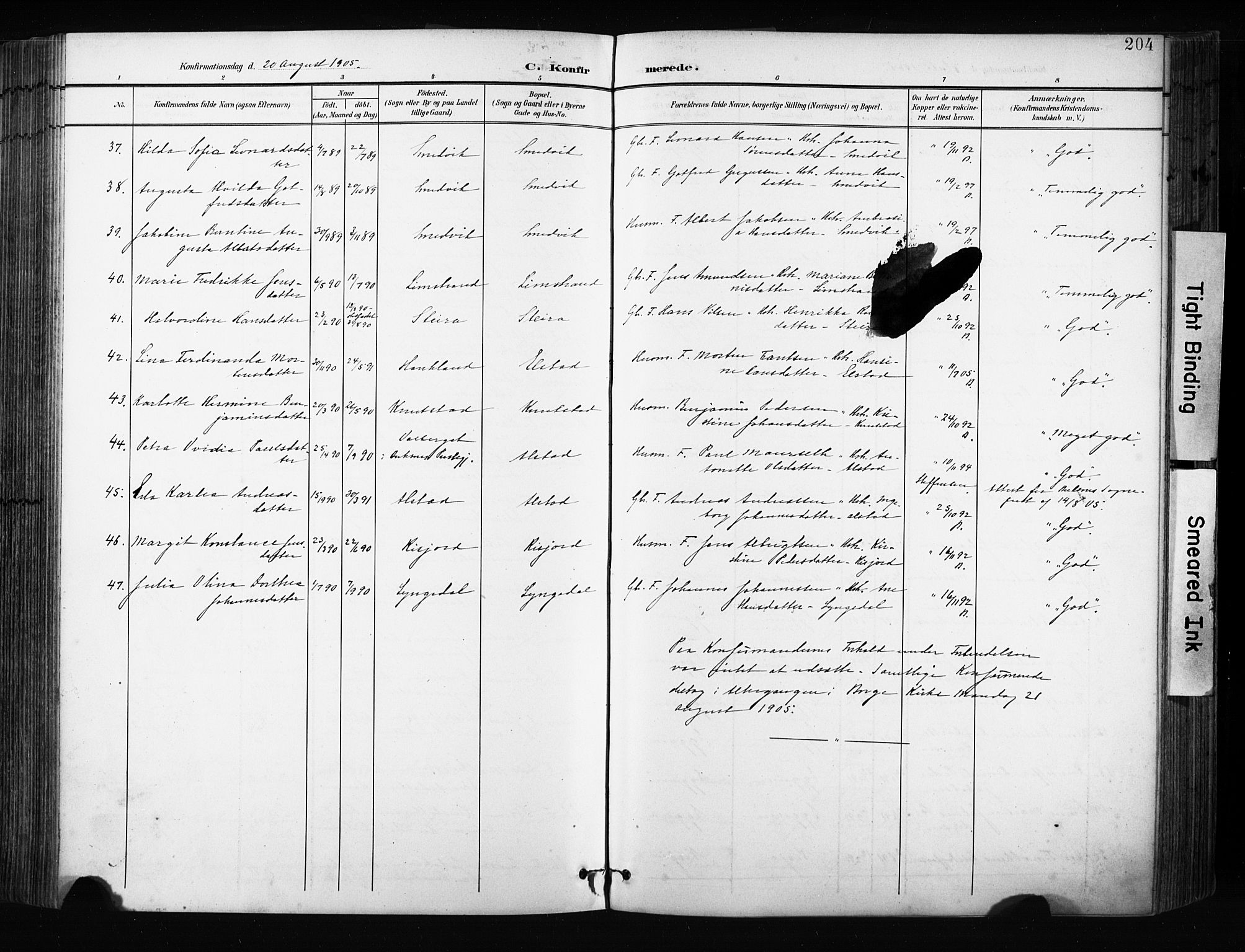 Ministerialprotokoller, klokkerbøker og fødselsregistre - Nordland, AV/SAT-A-1459/880/L1134: Ministerialbok nr. 880A08, 1899-1908, s. 204