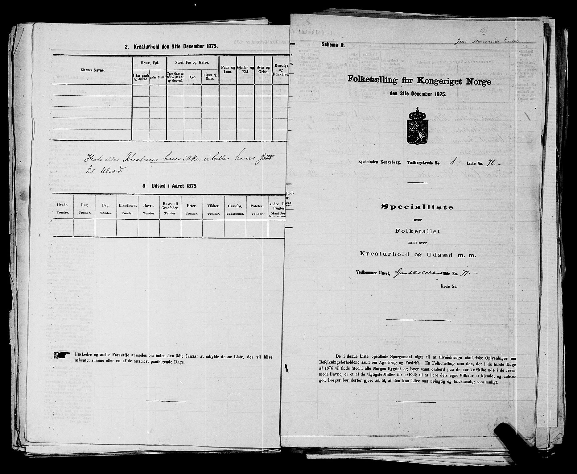 SAKO, Folketelling 1875 for 0604B Kongsberg prestegjeld, Kongsberg kjøpstad, 1875, s. 202