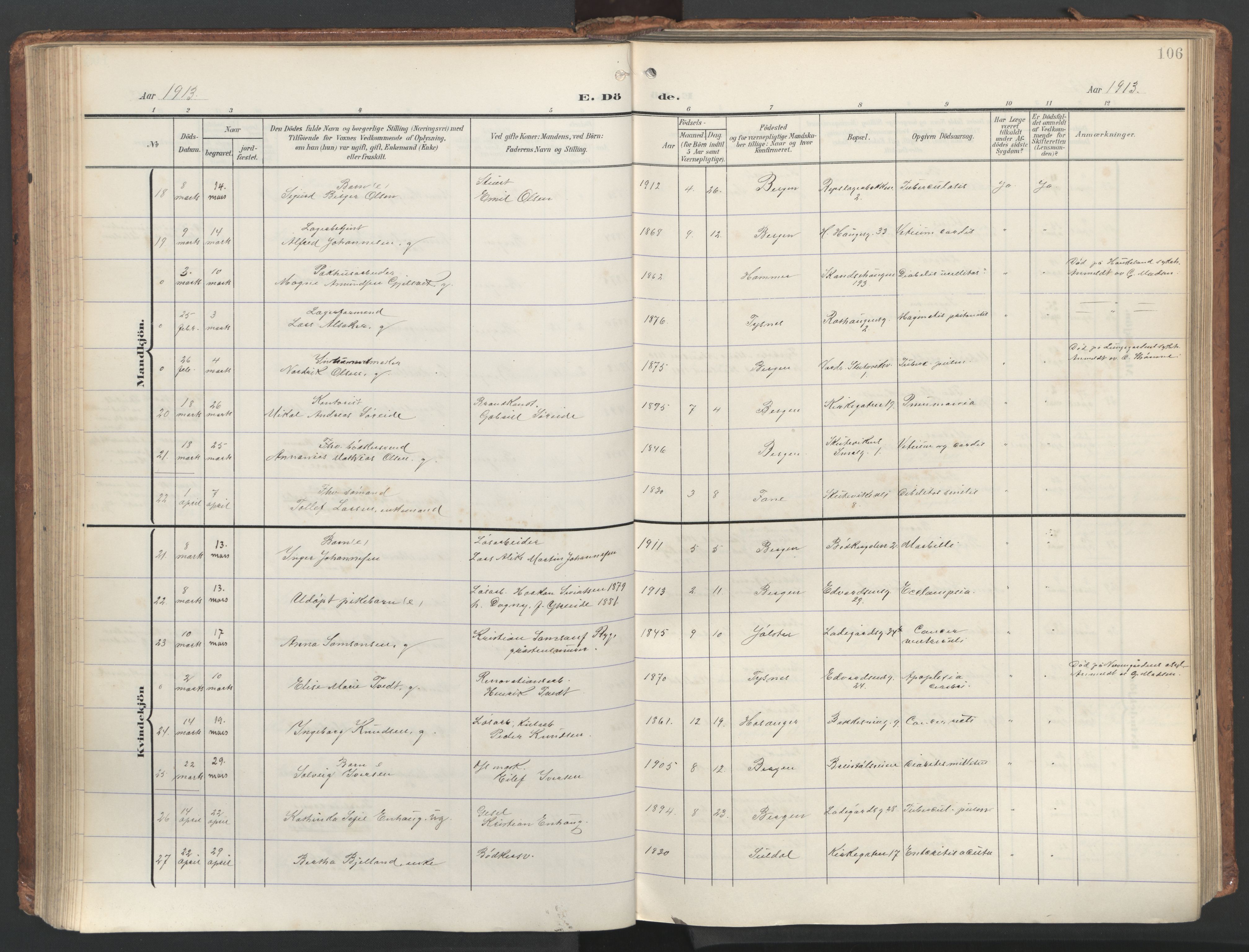 Sandviken Sokneprestembete, AV/SAB-A-77601/H/Ha/L0019: Ministerialbok nr. E 2, 1905-1933, s. 106