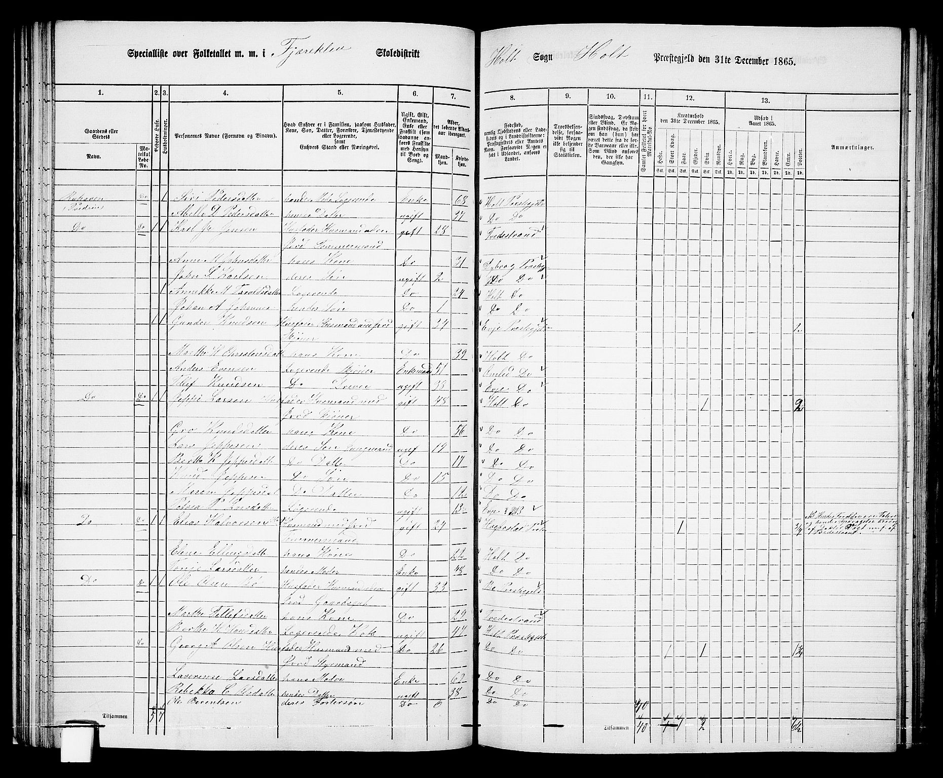 RA, Folketelling 1865 for 0914L Holt prestegjeld, Holt sokn, 1865, s. 48