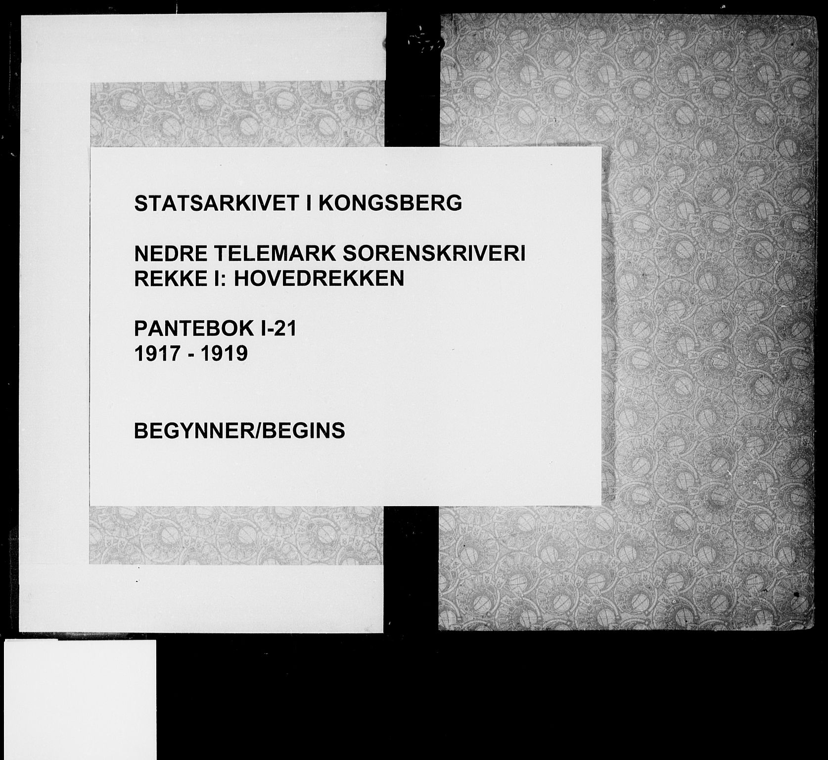 Nedre Telemark sorenskriveri, AV/SAKO-A-135/G/Ga/Gaa/L0021: Pantebok nr. I 21, 1917-1919
