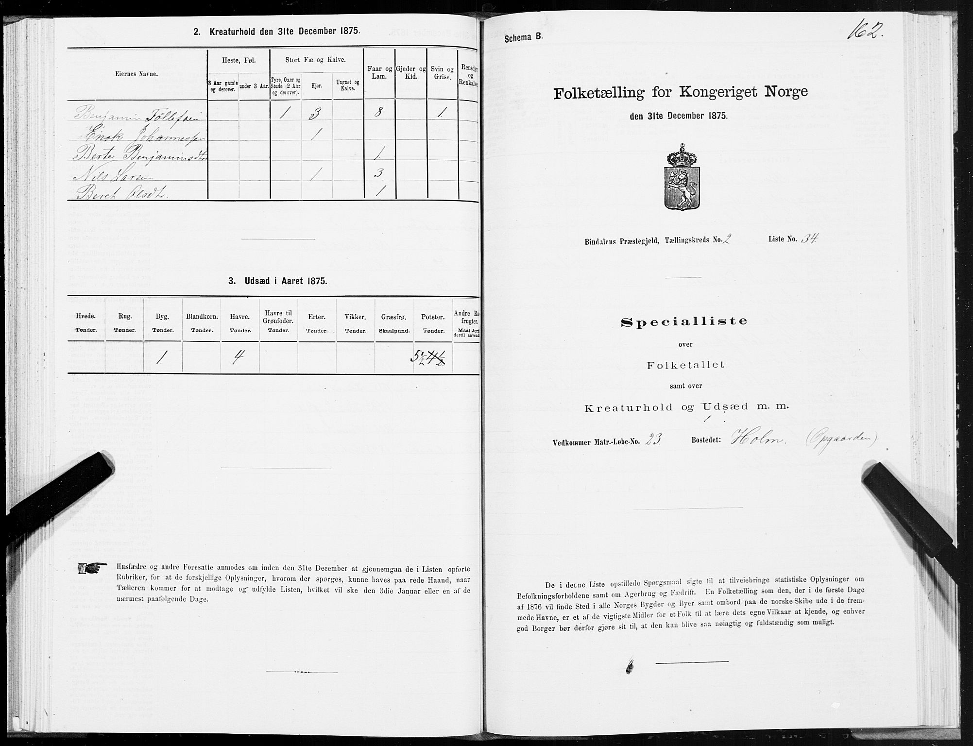 SAT, Folketelling 1875 for 1811P Bindal prestegjeld, 1875, s. 1162