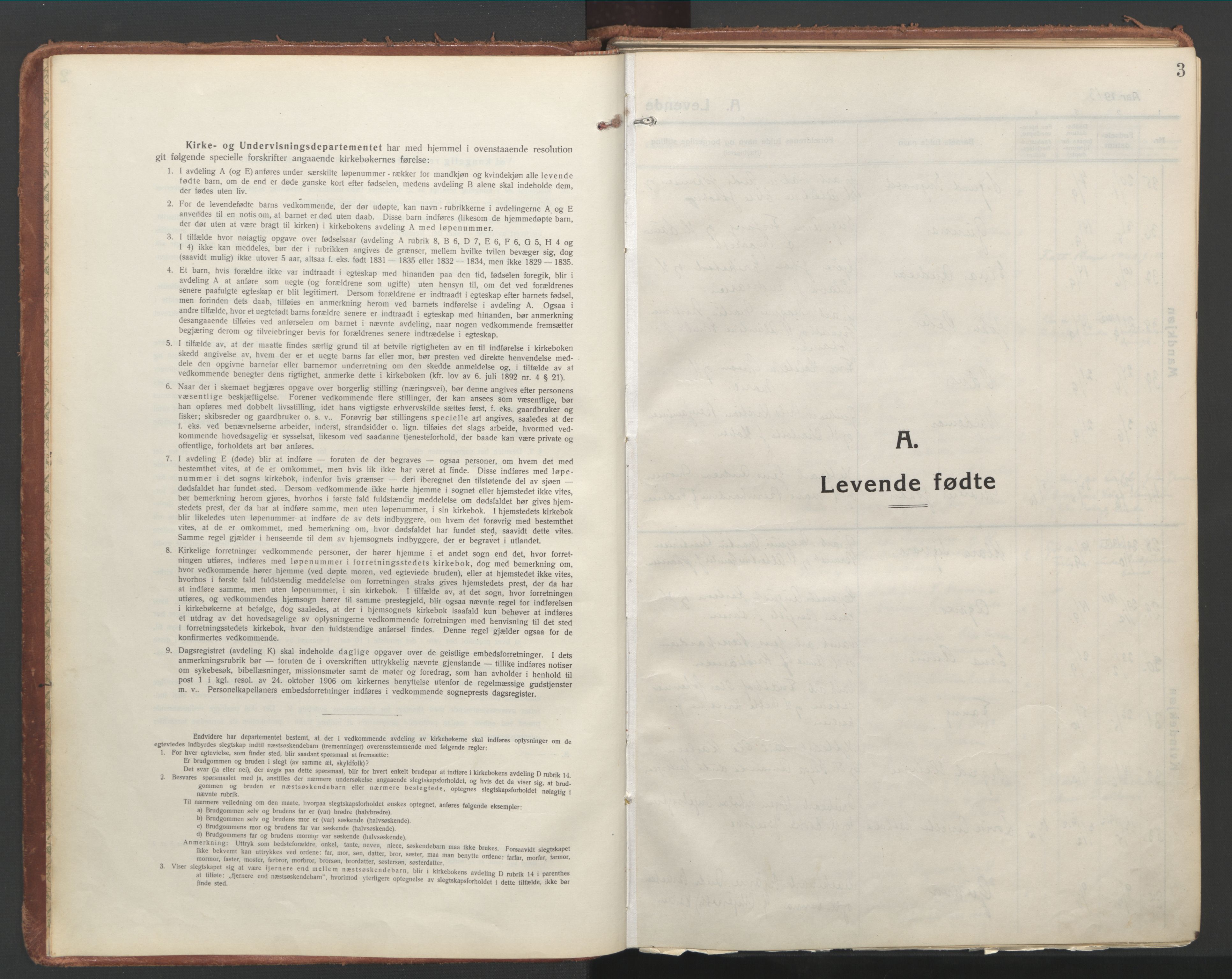 Ministerialprotokoller, klokkerbøker og fødselsregistre - Nordland, AV/SAT-A-1459/850/L0715: Residerende kapellans bok nr. 850B05, 1913-1924, s. 3