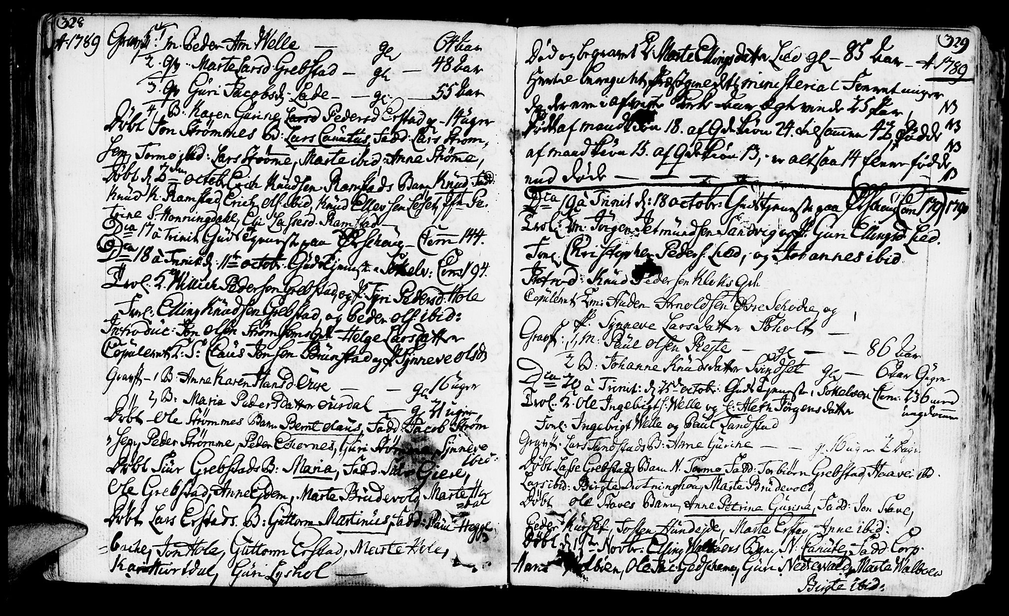 Ministerialprotokoller, klokkerbøker og fødselsregistre - Møre og Romsdal, AV/SAT-A-1454/522/L0308: Ministerialbok nr. 522A03, 1773-1809, s. 328-329
