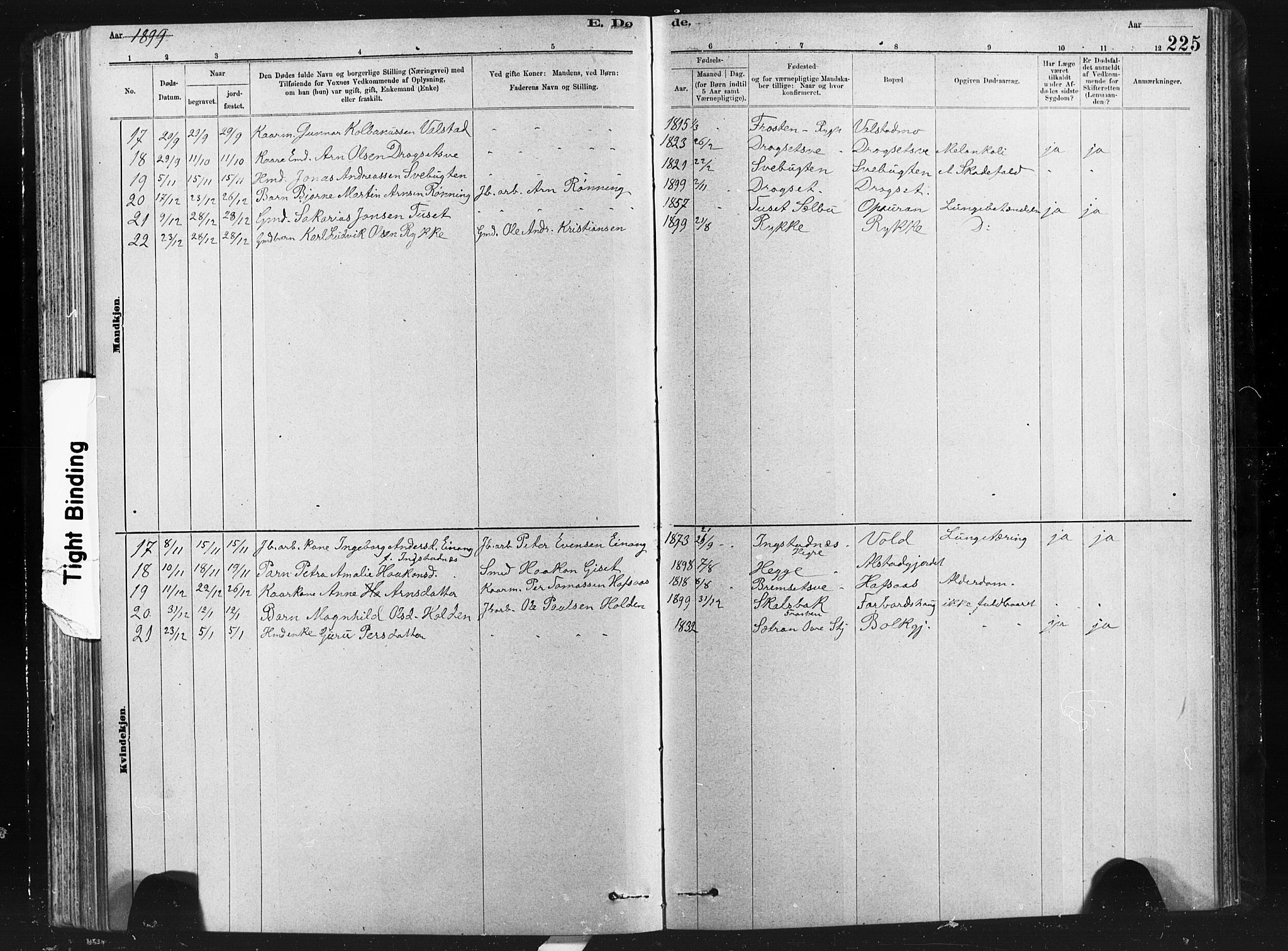 Ministerialprotokoller, klokkerbøker og fødselsregistre - Nord-Trøndelag, SAT/A-1458/712/L0103: Klokkerbok nr. 712C01, 1878-1917, s. 225