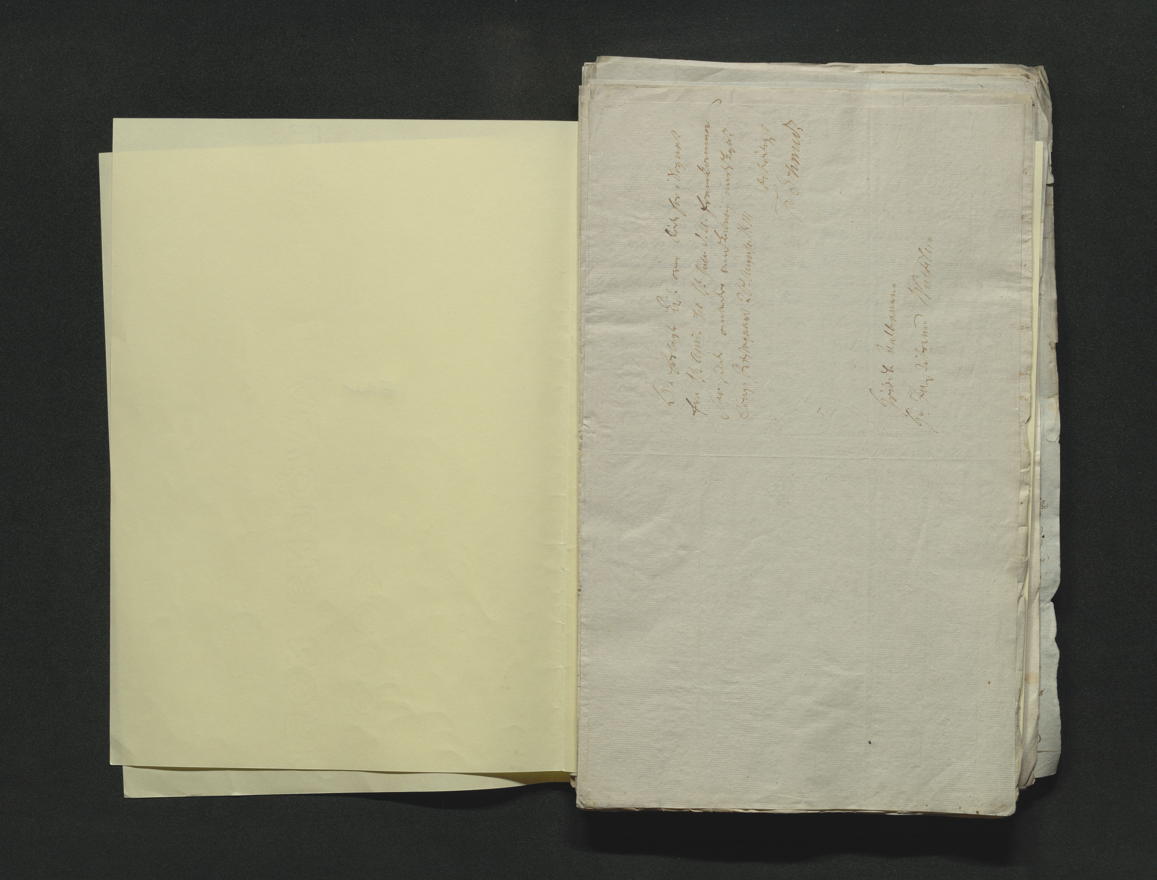 Eiker, Modum og Sigdal sorenskriveri, AV/SAKO-A-123/H/Ha/Hab/L0001: Dødsfallsmeldinger, 1812-1822, s. 42