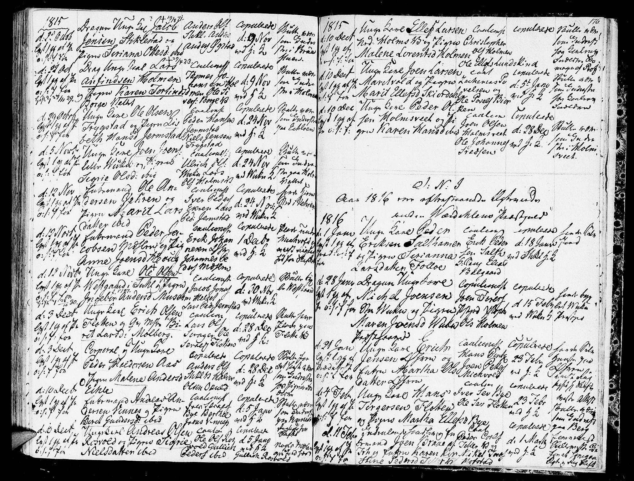 Ministerialprotokoller, klokkerbøker og fødselsregistre - Nord-Trøndelag, AV/SAT-A-1458/723/L0233: Ministerialbok nr. 723A04, 1805-1816, s. 176