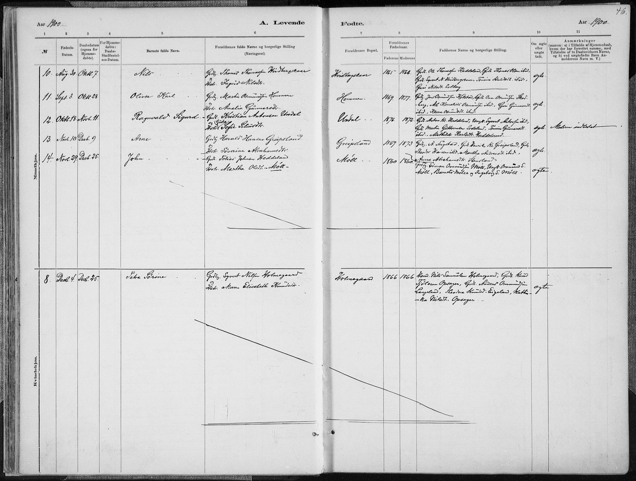 Holum sokneprestkontor, AV/SAK-1111-0022/F/Fa/Faa/L0007: Ministerialbok nr. A 7, 1884-1907, s. 46