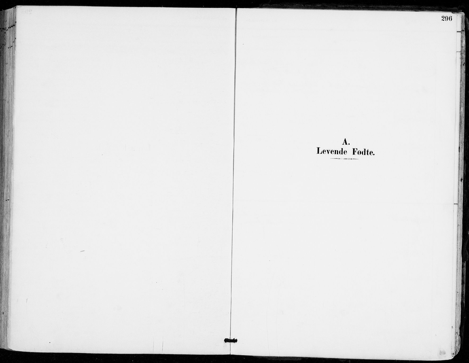 Sylling kirkebøker, SAKO/A-247/F/Fa/L0001: Ministerialbok nr. 1, 1883-1910, s. 296