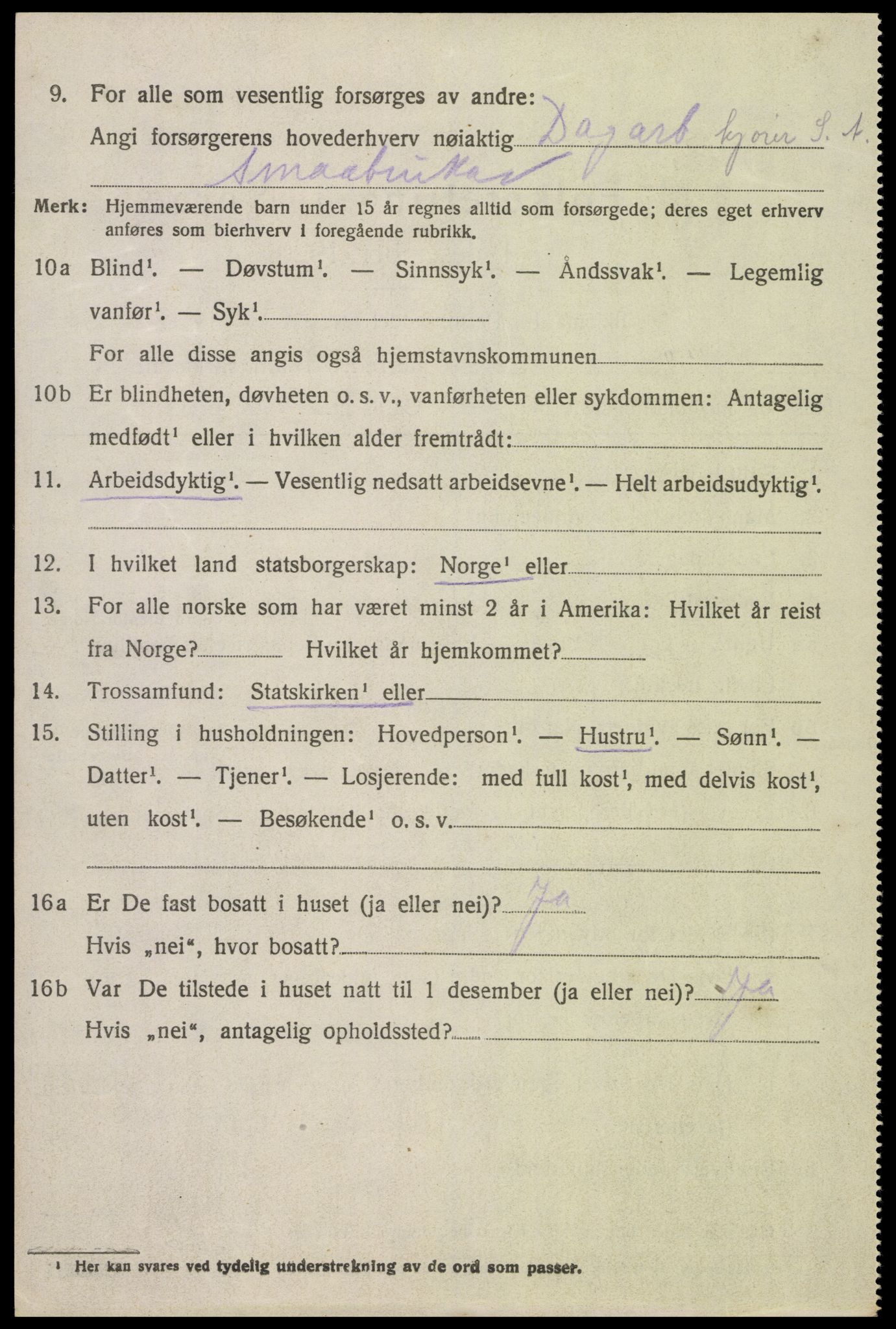 SAK, Folketelling 1920 for 0936 Hornnes herred, 1920, s. 1040
