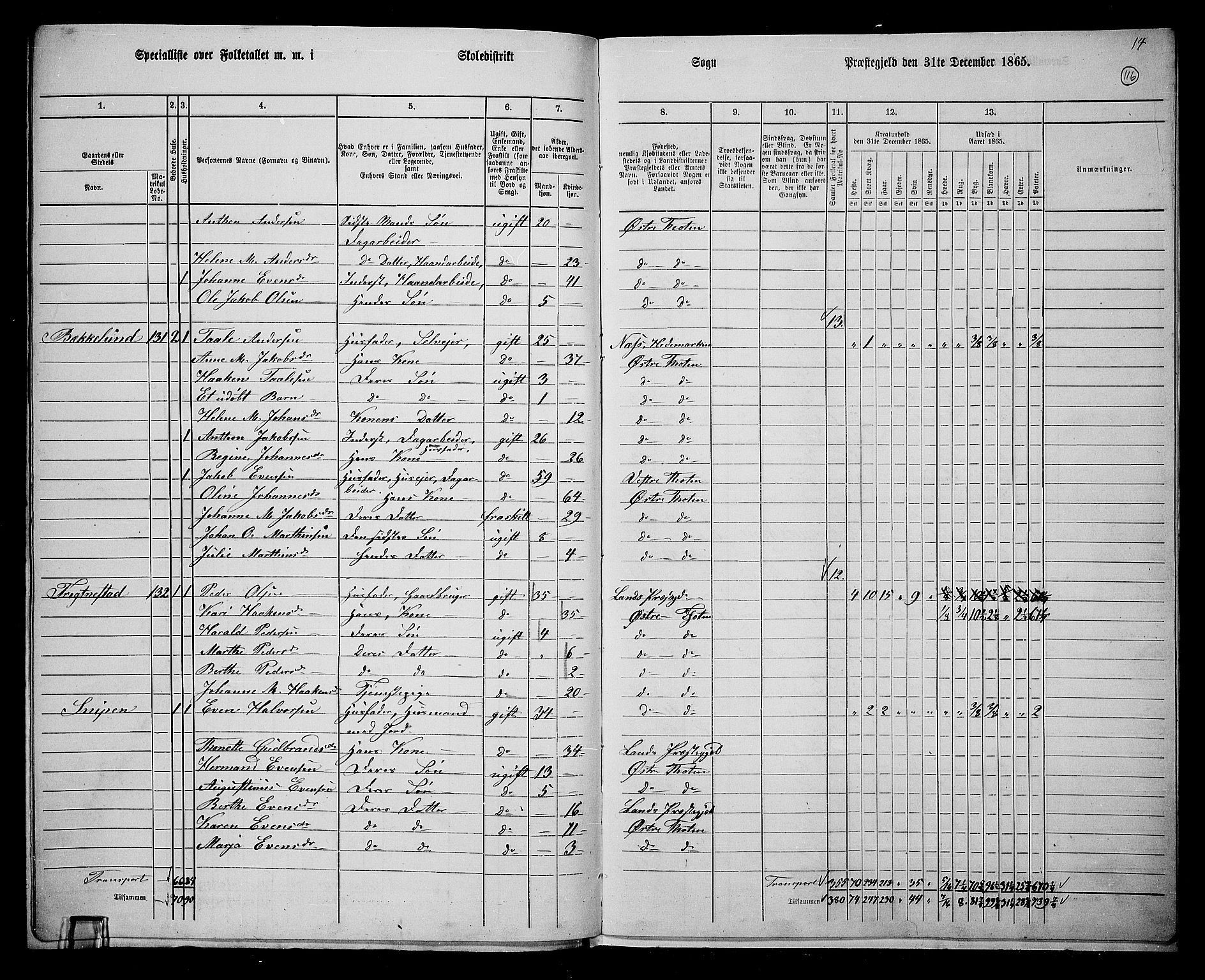 RA, Folketelling 1865 for 0528P Østre Toten prestegjeld, 1865, s. 125