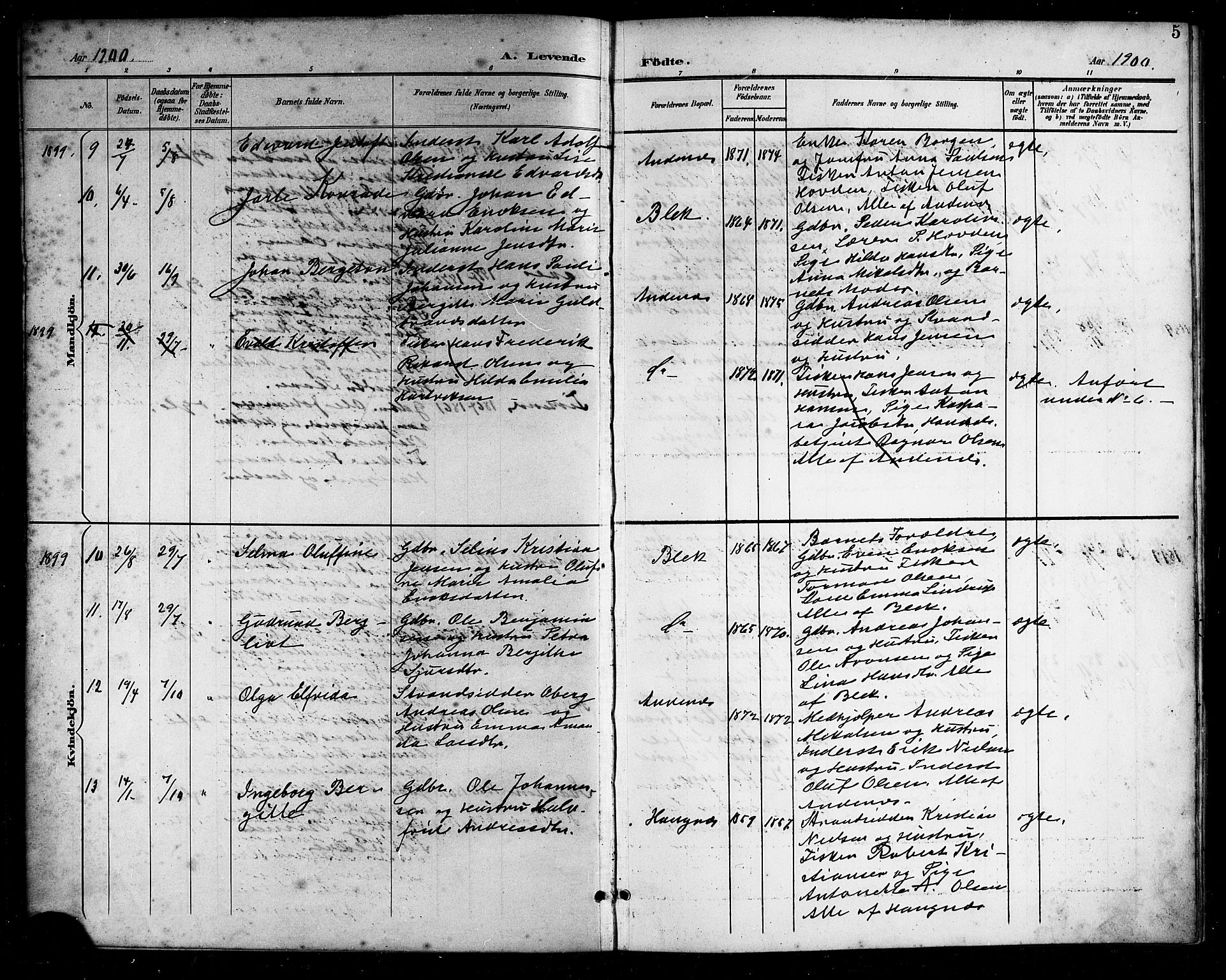 Ministerialprotokoller, klokkerbøker og fødselsregistre - Nordland, SAT/A-1459/899/L1449: Klokkerbok nr. 899C04, 1900-1918, s. 5