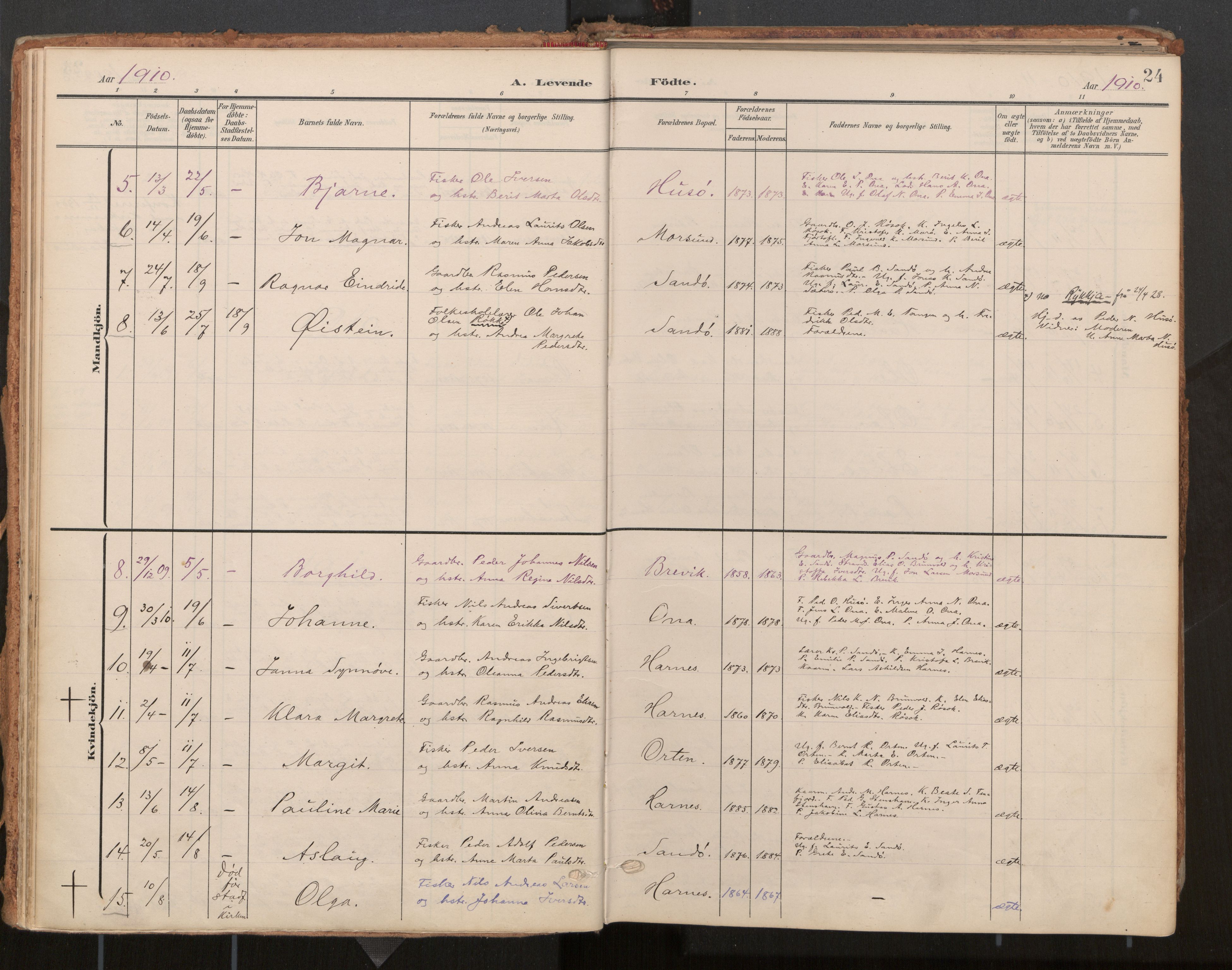 Ministerialprotokoller, klokkerbøker og fødselsregistre - Møre og Romsdal, AV/SAT-A-1454/561/L0730: Ministerialbok nr. 561A04, 1901-1929, s. 24