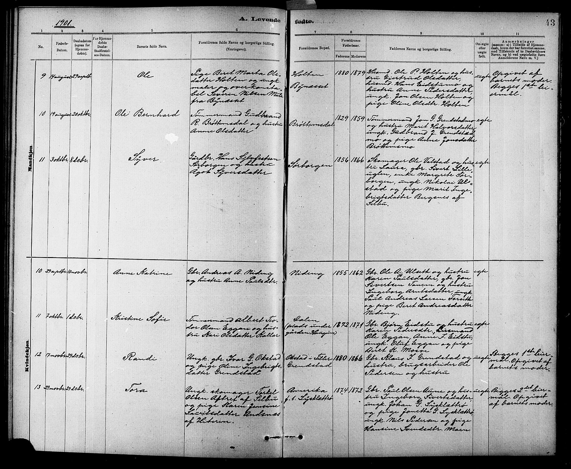 Ministerialprotokoller, klokkerbøker og fødselsregistre - Sør-Trøndelag, SAT/A-1456/618/L0452: Klokkerbok nr. 618C03, 1884-1906, s. 43