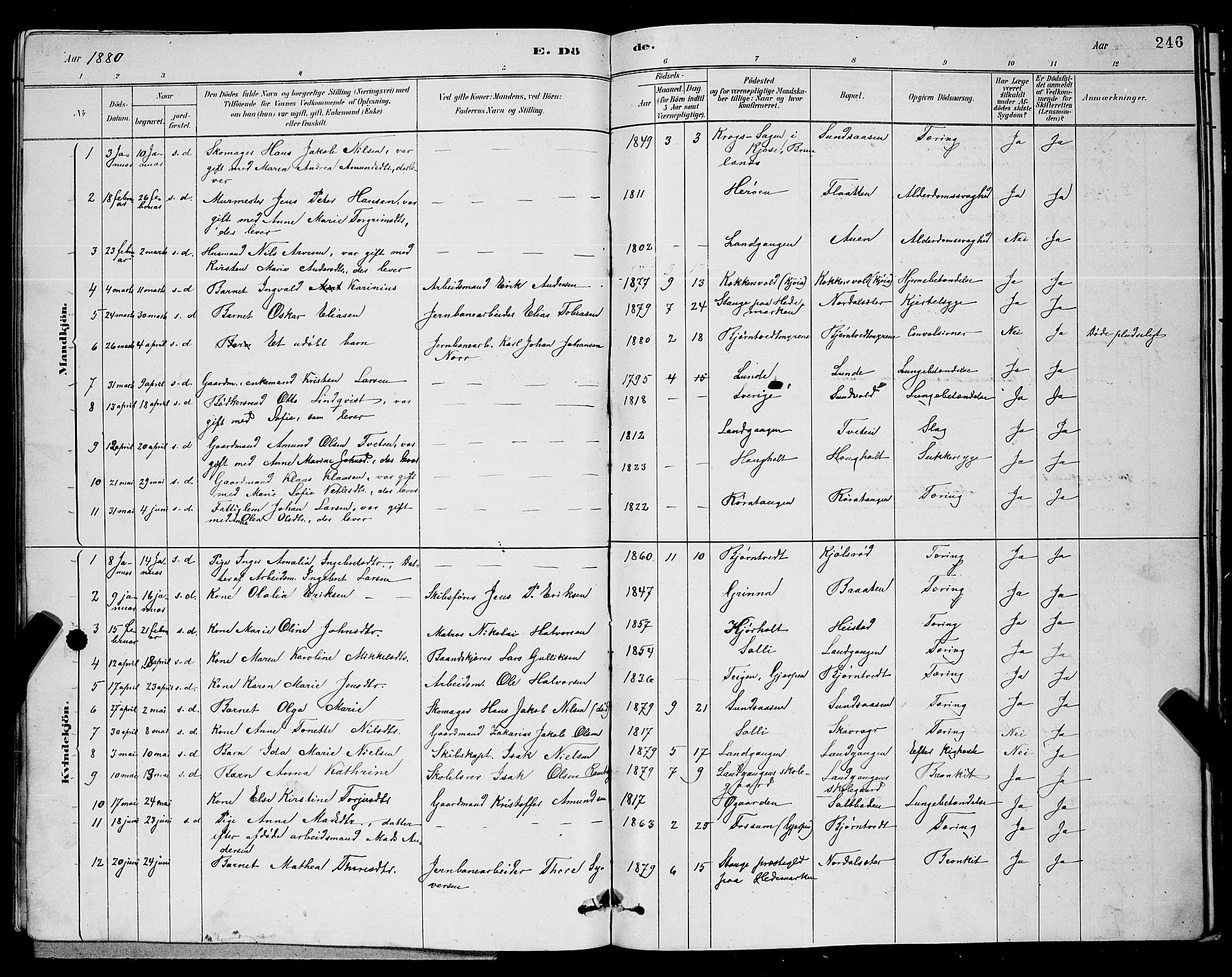 Eidanger kirkebøker, AV/SAKO-A-261/G/Ga/L0002: Klokkerbok nr. 2, 1879-1892, s. 246