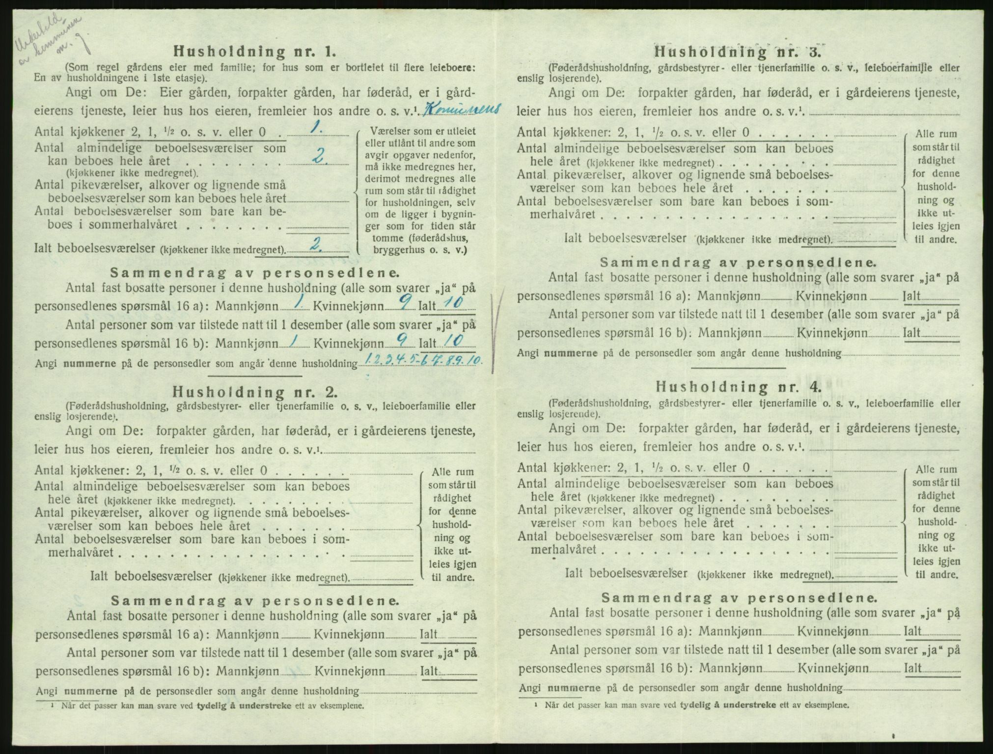 SAK, Folketelling 1920 for 0936 Hornnes herred, 1920, s. 482