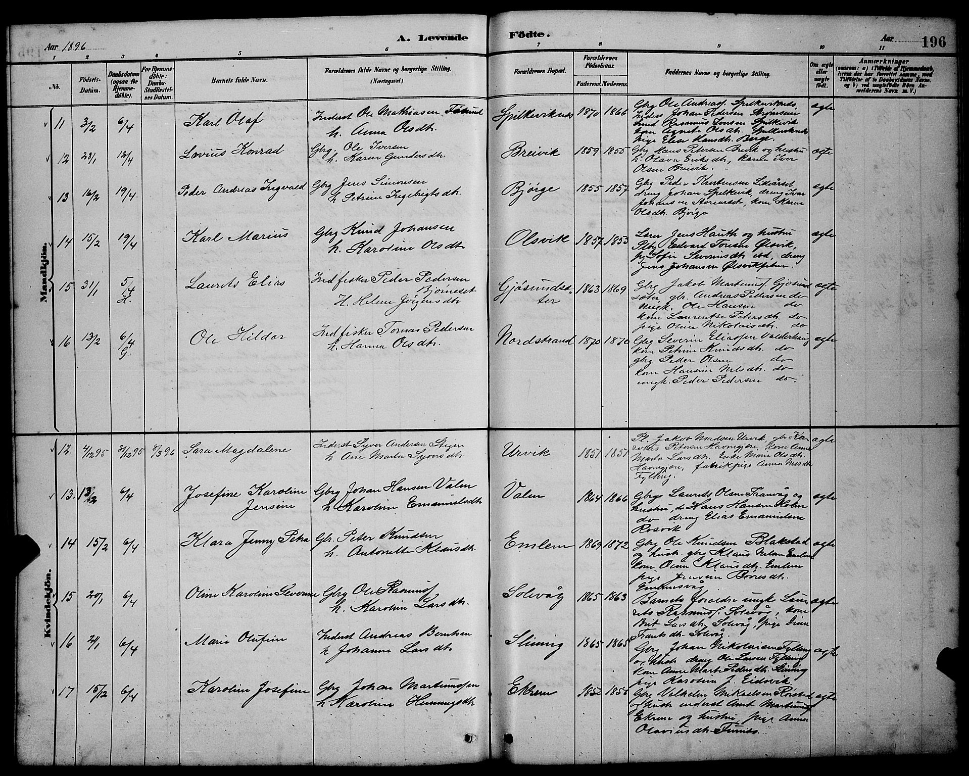 Ministerialprotokoller, klokkerbøker og fødselsregistre - Møre og Romsdal, AV/SAT-A-1454/528/L0431: Klokkerbok nr. 528C12, 1885-1898, s. 196