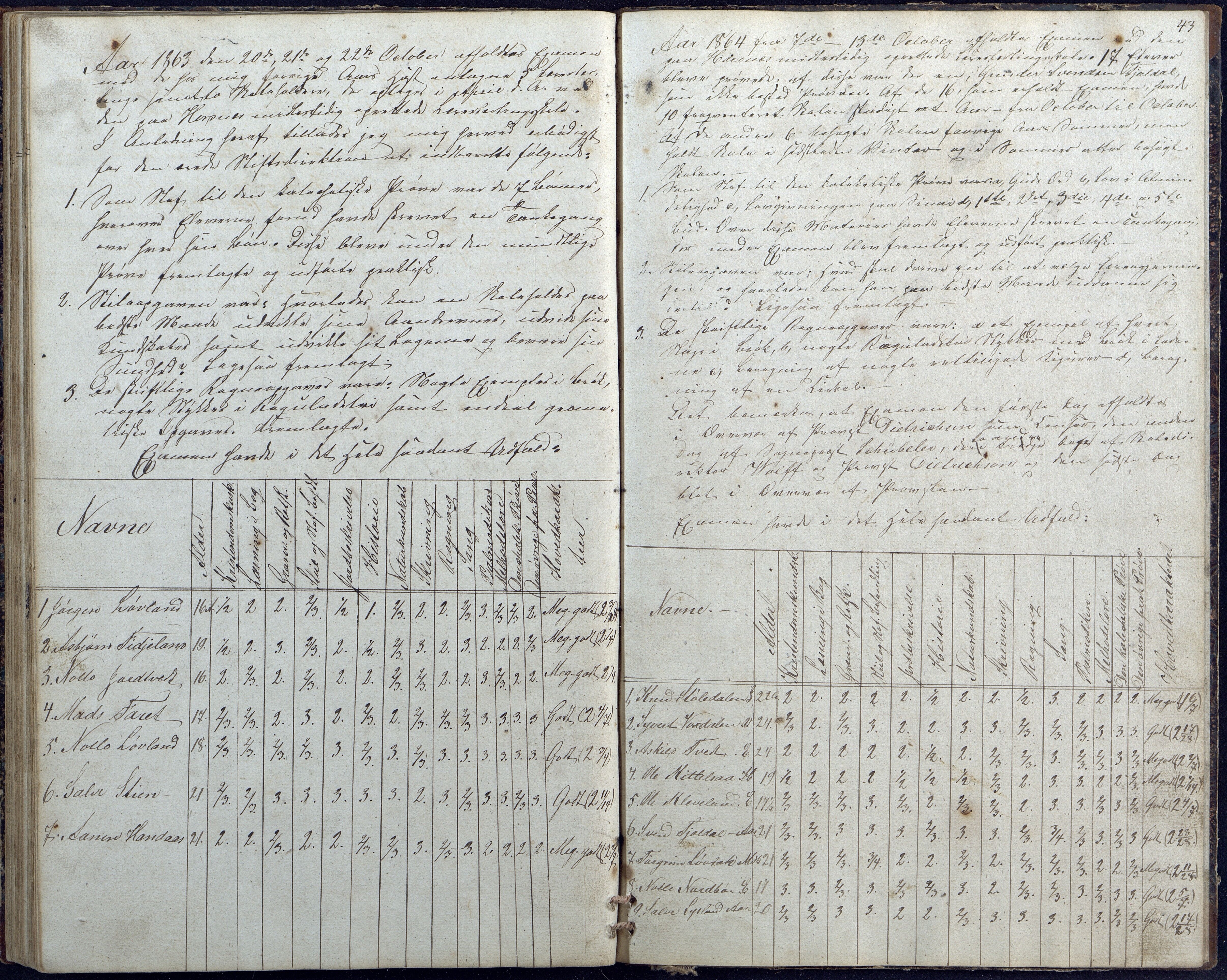 Hornnes kommune, Hornnes Skole, AAKS/KA0936-550a/F1/L0001: Skoleprotokoll Hornnes midtre skolekrets, 1847-1865, s. 43