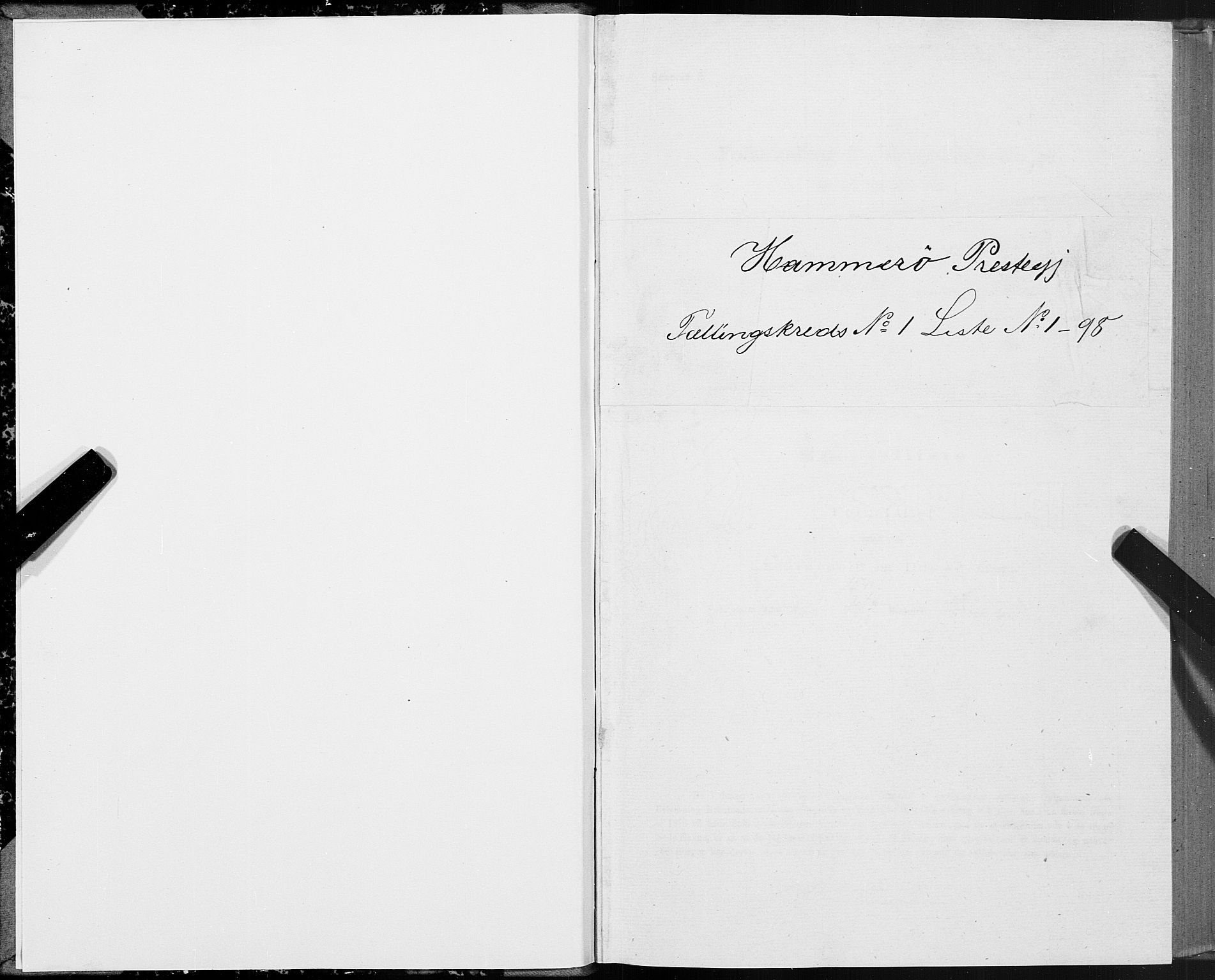 SAT, Folketelling 1875 for 1849P Hamarøy prestegjeld, 1875