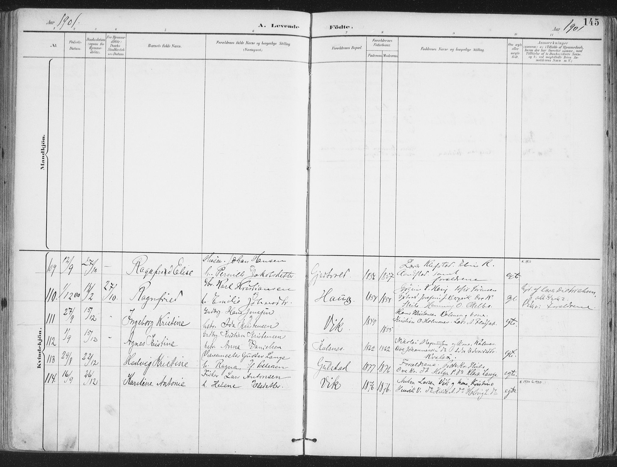 Ministerialprotokoller, klokkerbøker og fødselsregistre - Nordland, AV/SAT-A-1459/888/L1246: Ministerialbok nr. 888A12, 1891-1903, s. 145