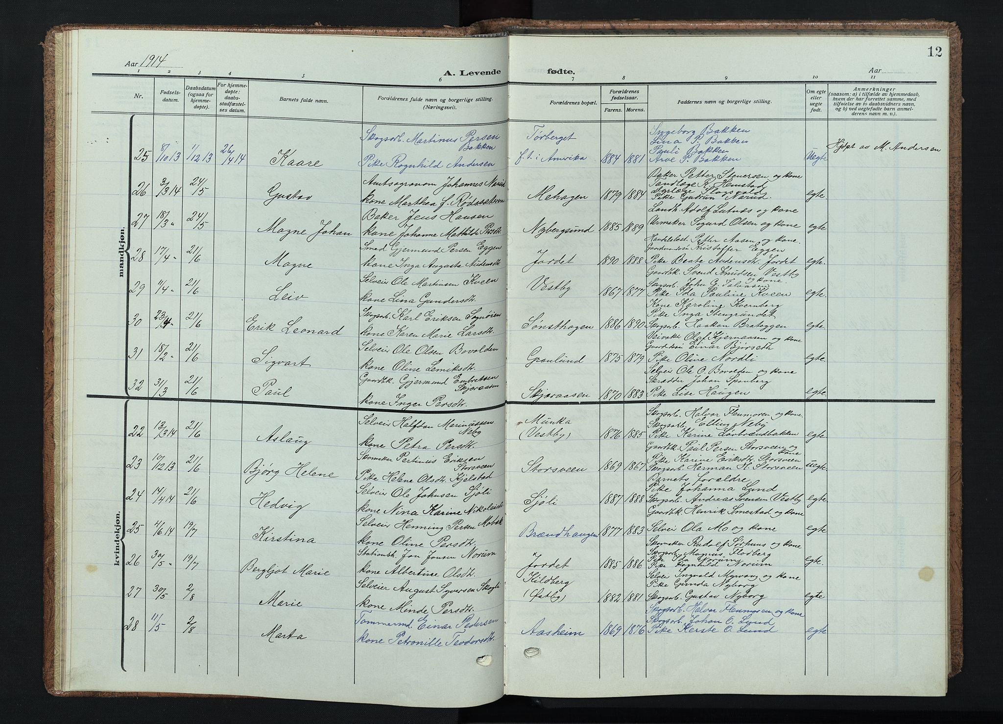 Trysil prestekontor, AV/SAH-PREST-046/H/Ha/Haa/L0015: Ministerialbok nr. 15, 1913-1934, s. 12