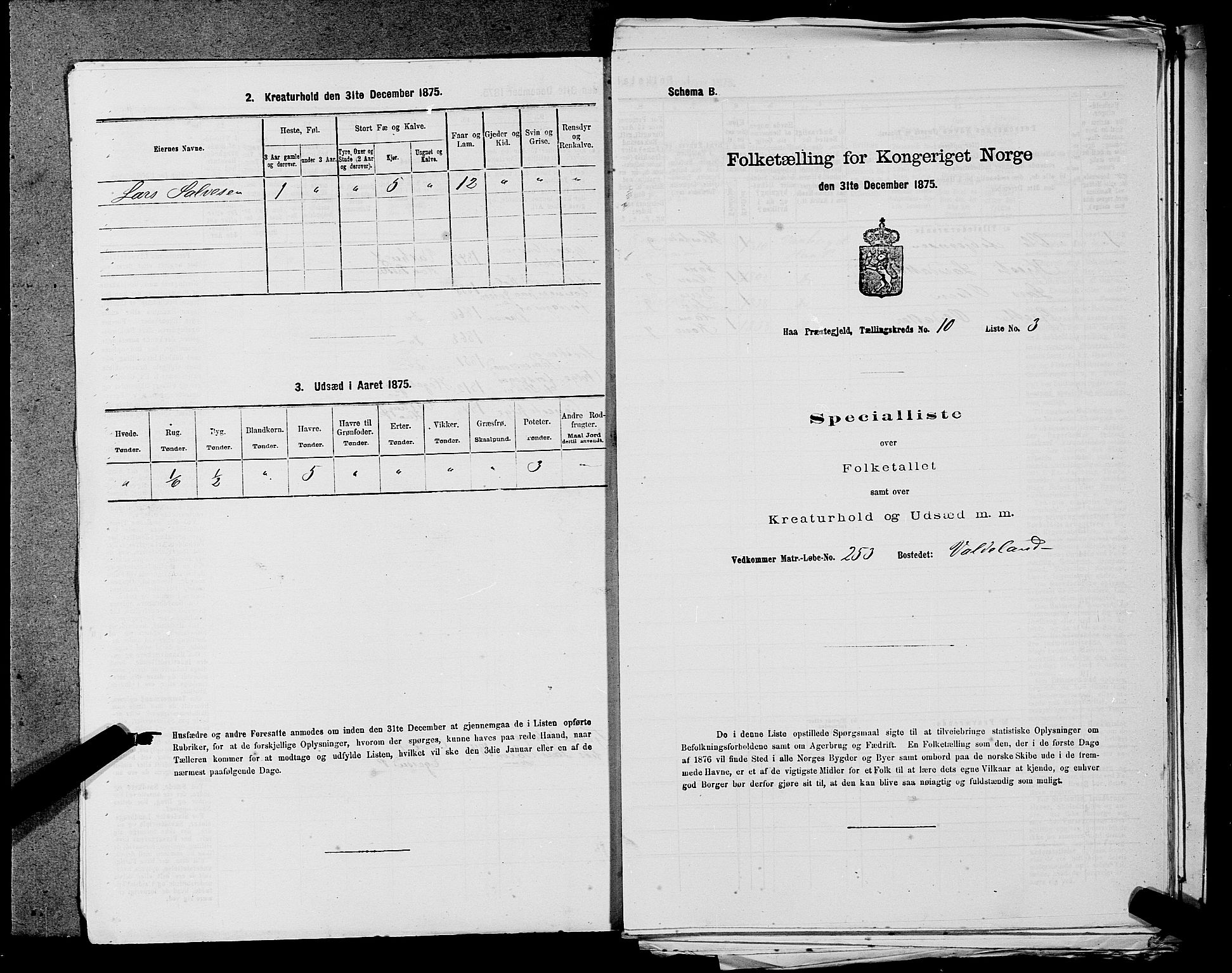 SAST, Folketelling 1875 for 1119P Hå prestegjeld, 1875, s. 1065