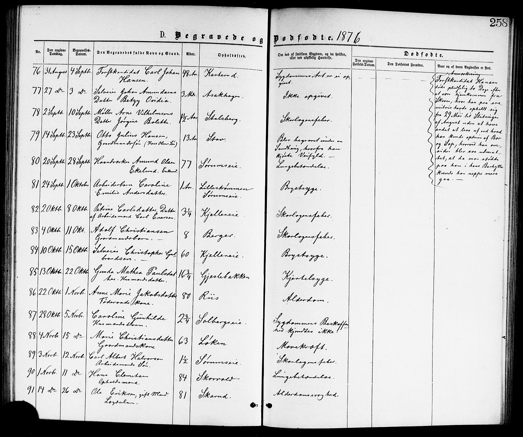 Skedsmo prestekontor Kirkebøker, AV/SAO-A-10033a/G/Ga/L0003: Klokkerbok nr. I 3, 1873-1882, s. 258