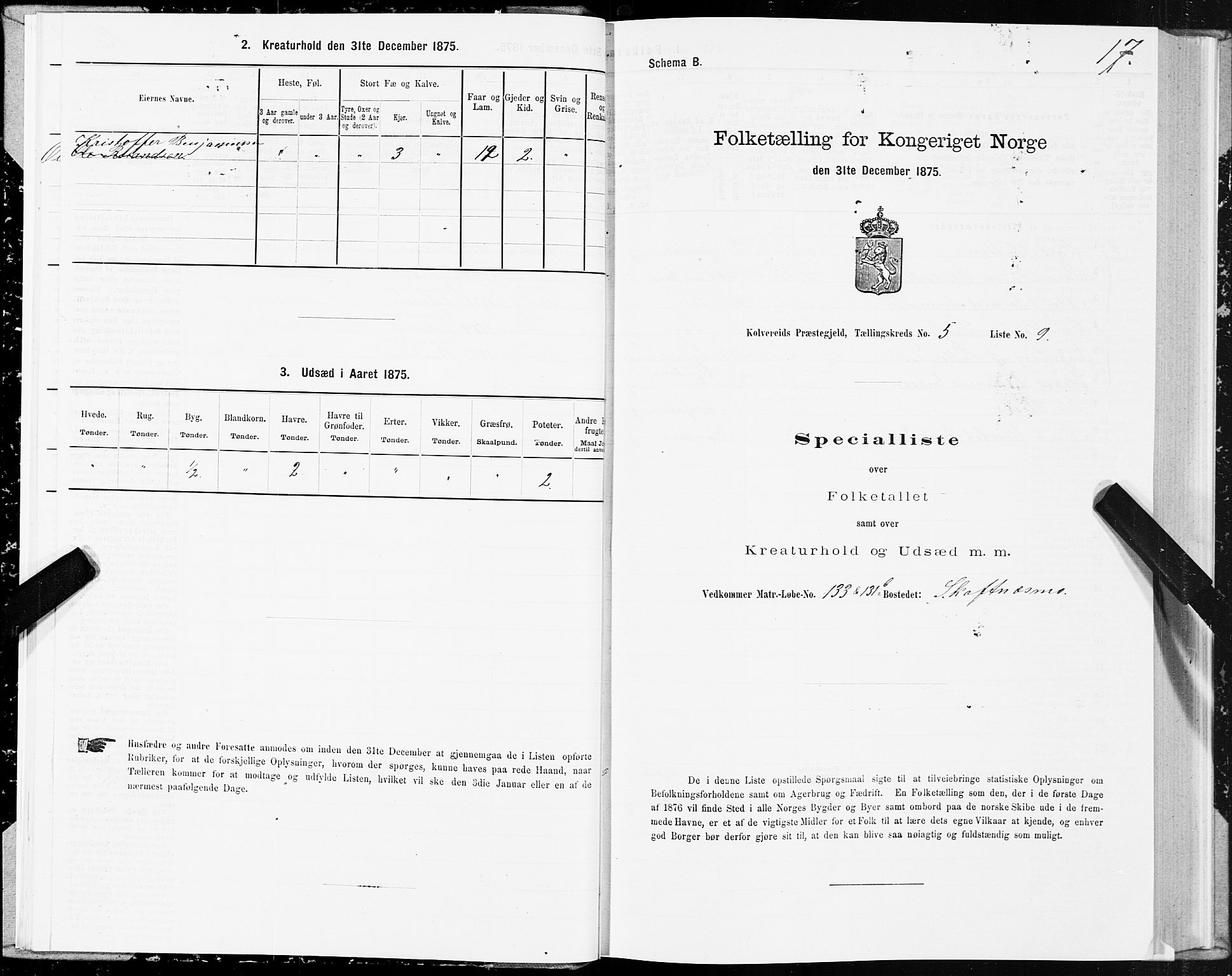 SAT, Folketelling 1875 for 1752P Kolvereid prestegjeld, 1875, s. 3017