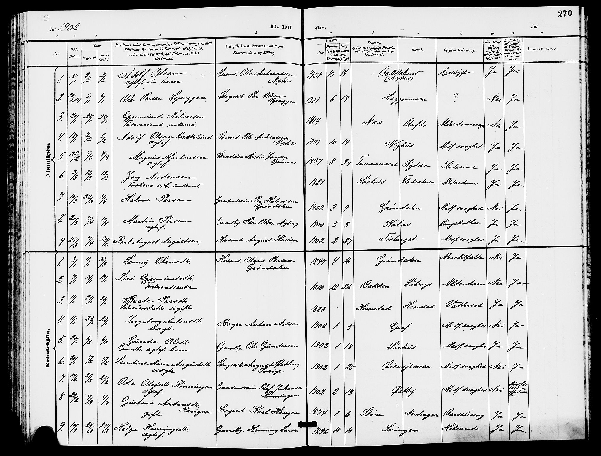 Trysil prestekontor, SAH/PREST-046/H/Ha/Hab/L0006: Klokkerbok nr. 6, 1896-1912, s. 270