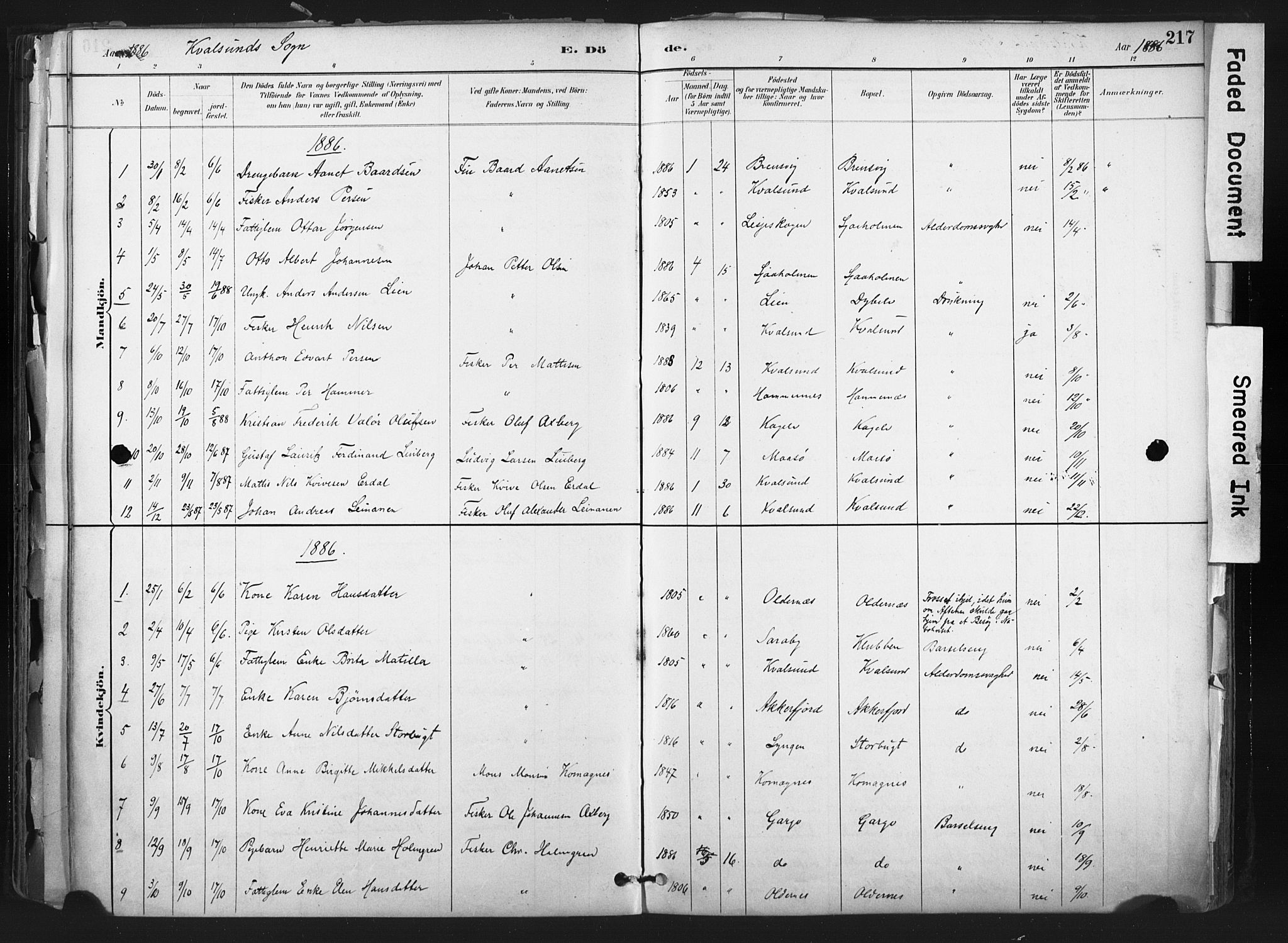 Hammerfest sokneprestkontor, AV/SATØ-S-1347/H/Ha/L0011.kirke: Ministerialbok nr. 11 /2, 1885-1897, s. 217