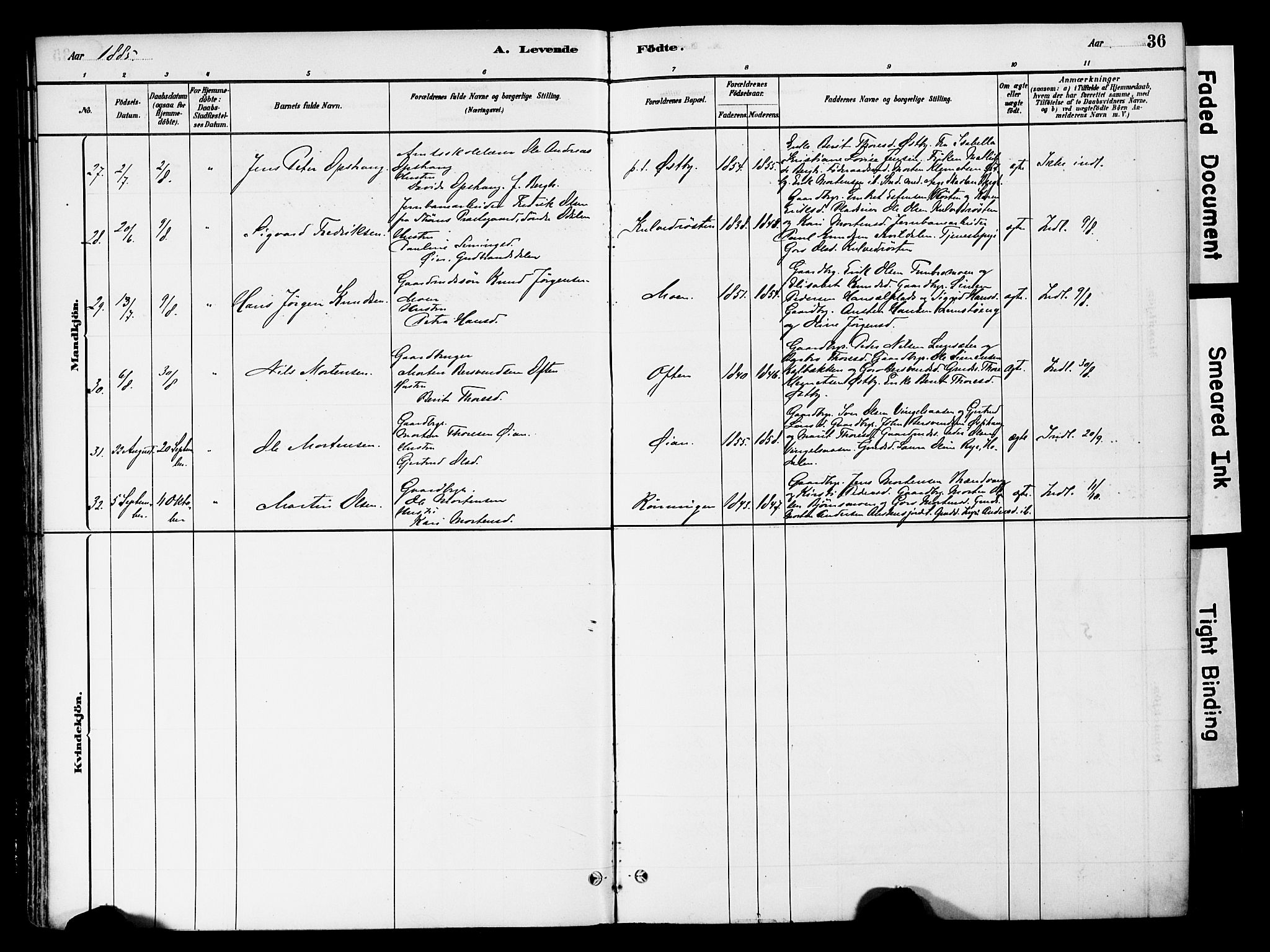 Tynset prestekontor, AV/SAH-PREST-058/H/Ha/Haa/L0022: Ministerialbok nr. 22, 1880-1899, s. 36