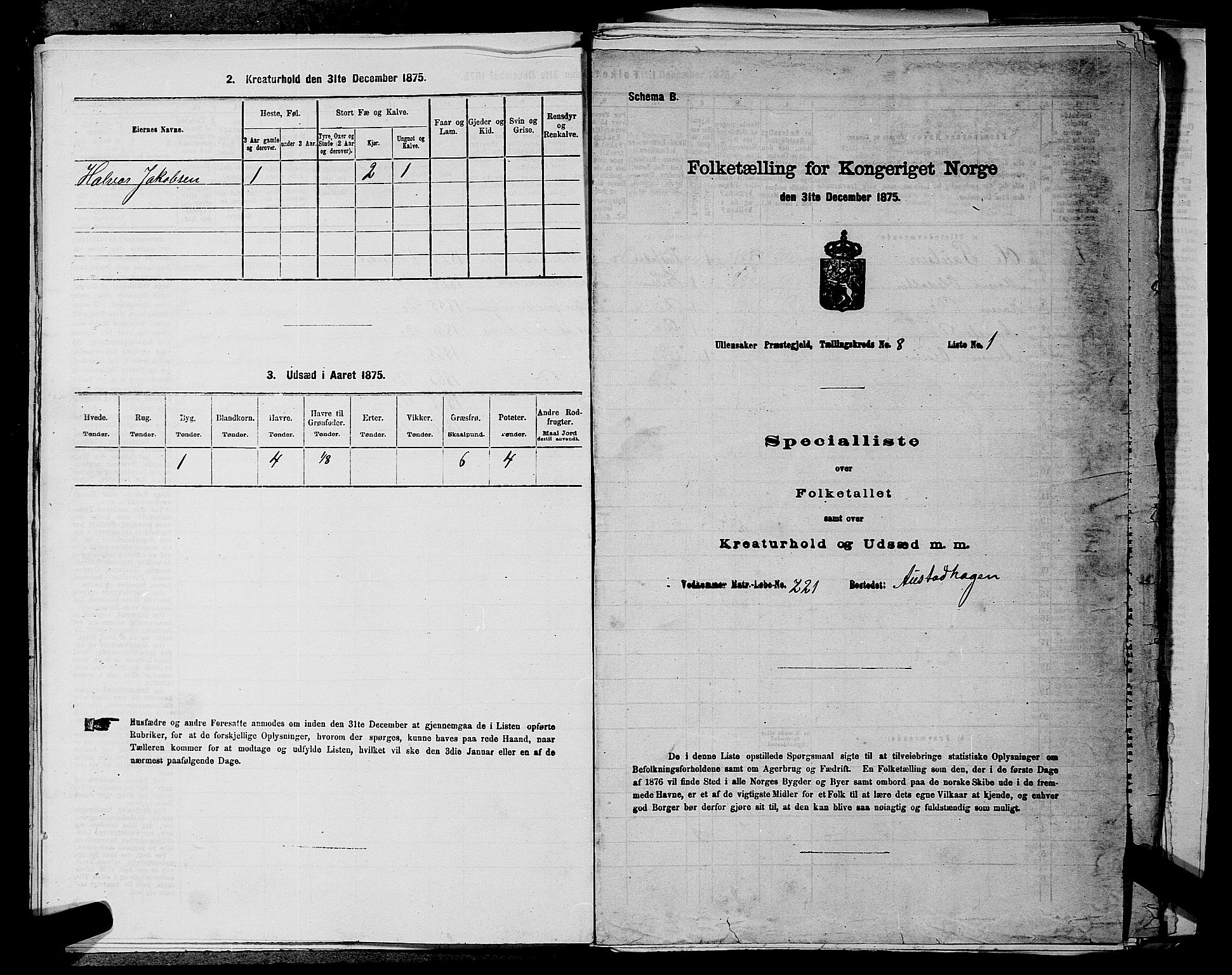 RA, Folketelling 1875 for 0235P Ullensaker prestegjeld, 1875, s. 1196
