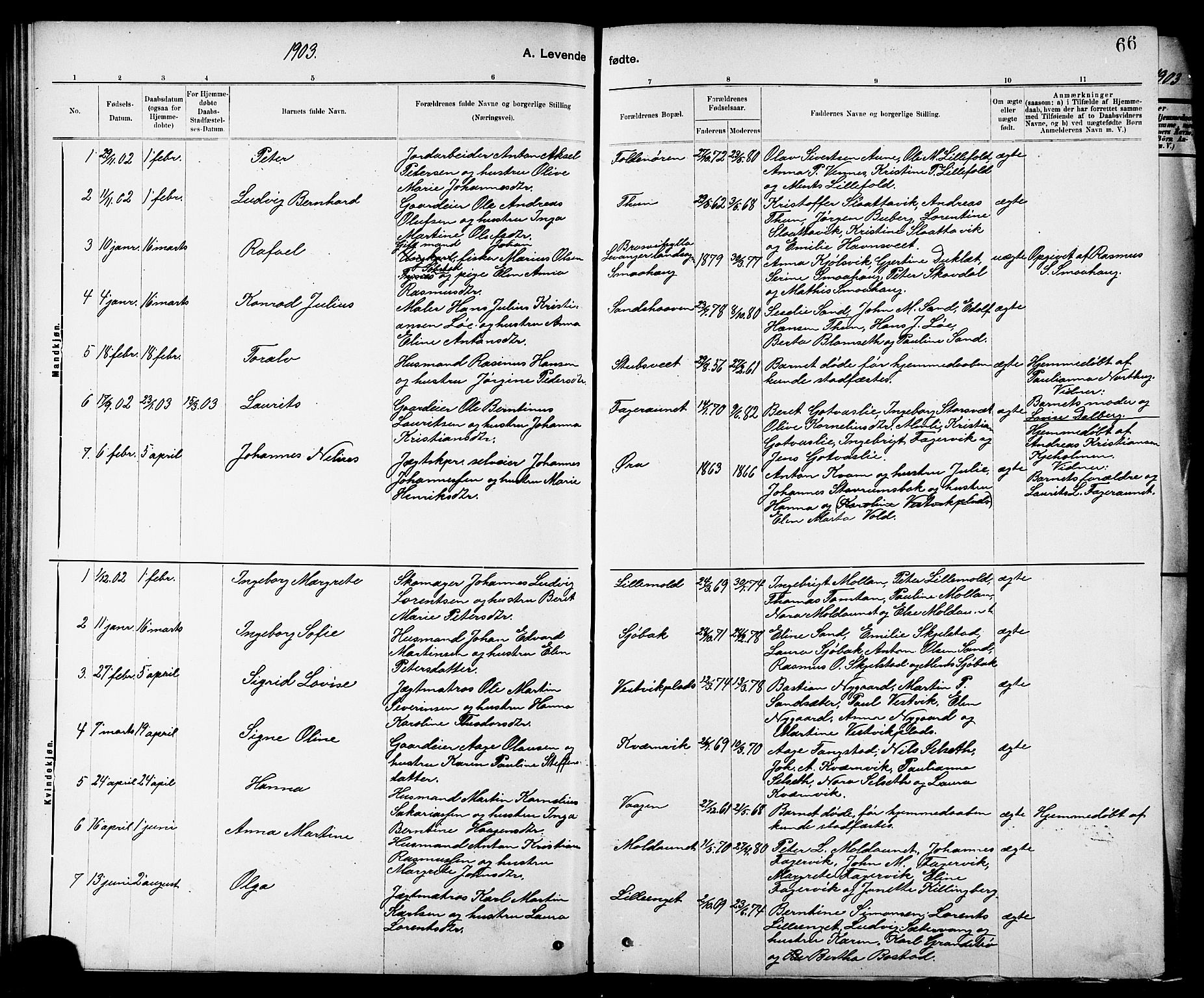 Ministerialprotokoller, klokkerbøker og fødselsregistre - Nord-Trøndelag, AV/SAT-A-1458/744/L0423: Klokkerbok nr. 744C02, 1886-1905, s. 66a