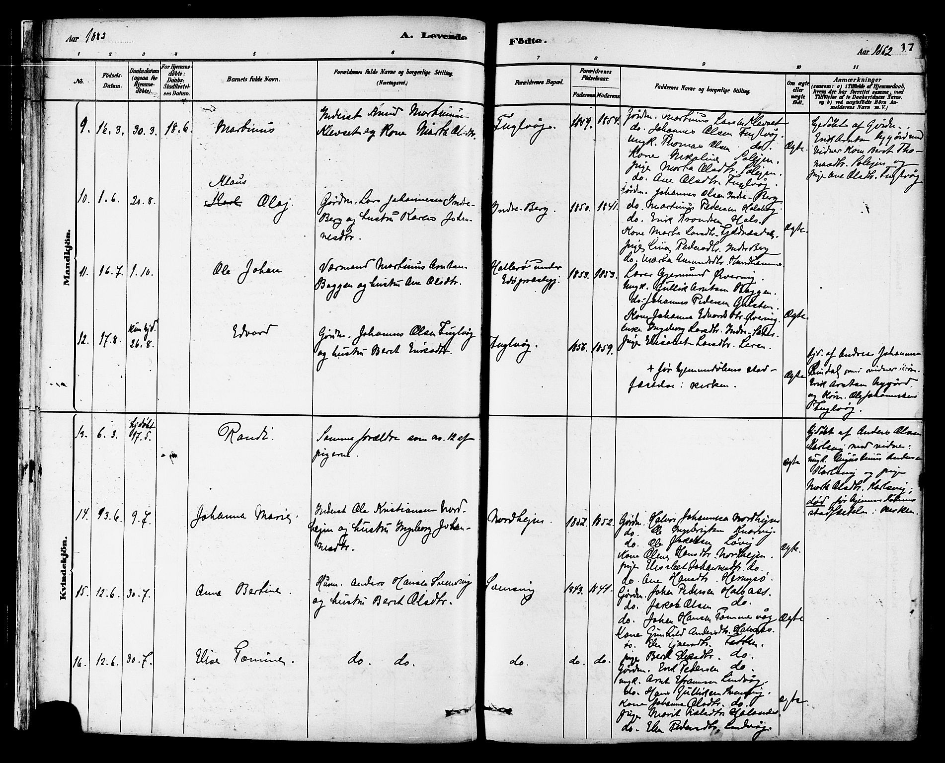 Ministerialprotokoller, klokkerbøker og fødselsregistre - Møre og Romsdal, AV/SAT-A-1454/577/L0896: Ministerialbok nr. 577A03, 1880-1898, s. 17