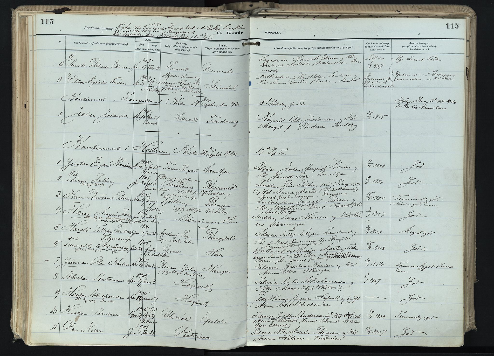 Hedrum kirkebøker, AV/SAKO-A-344/F/Fa/L0011: Ministerialbok nr. I 11, 1919-1933, s. 115