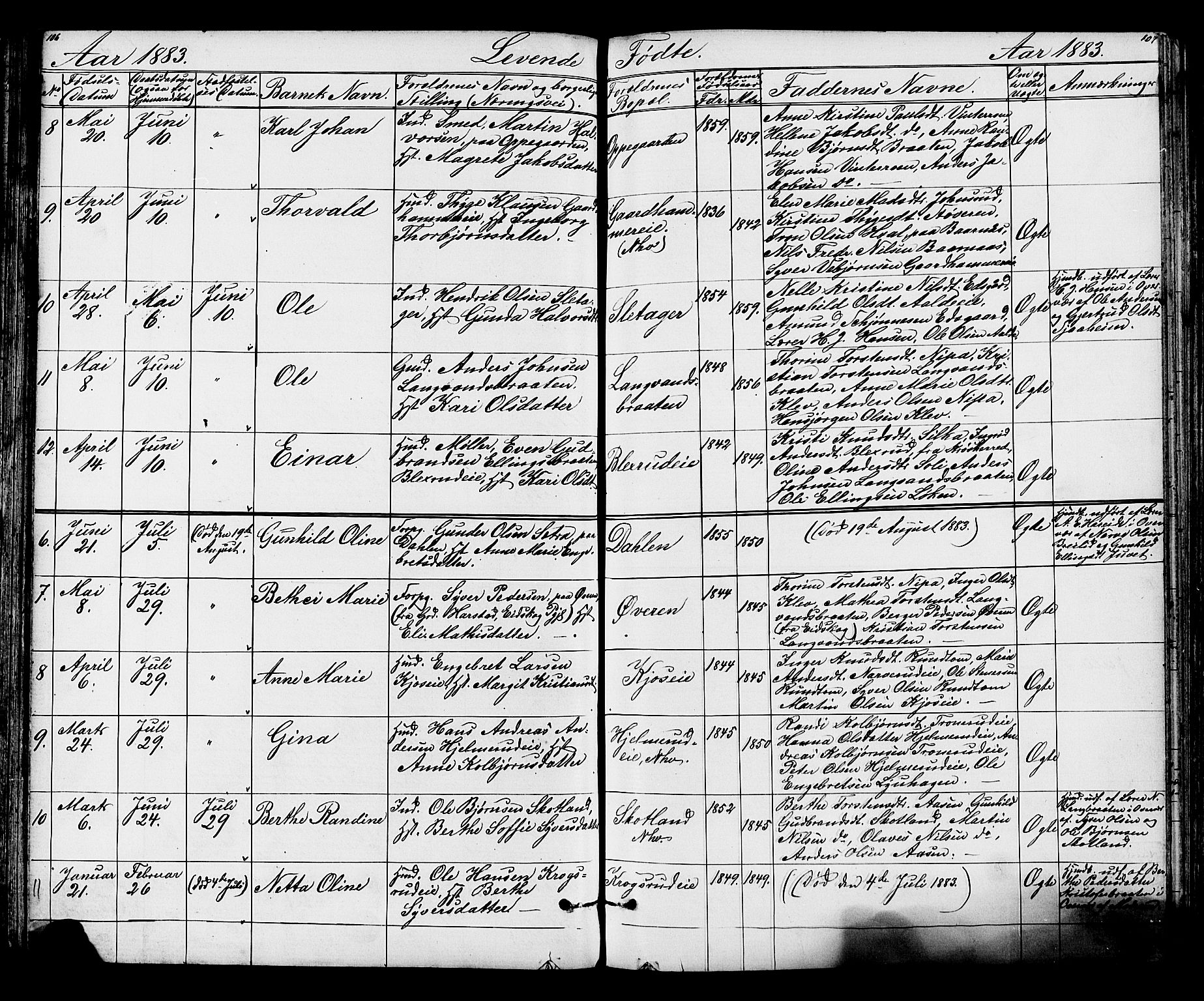 Lunder kirkebøker, AV/SAKO-A-629/G/Ga/L0003a: Klokkerbok nr. I 3, 1869-1888, s. 106-107