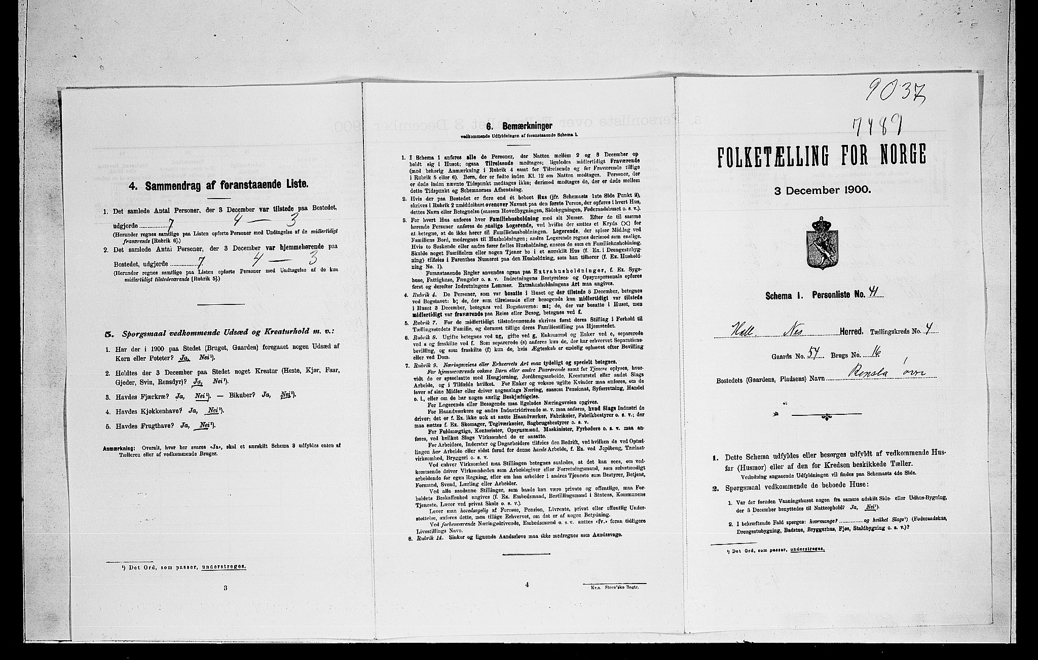 RA, Folketelling 1900 for 0616 Nes herred, 1900, s. 58