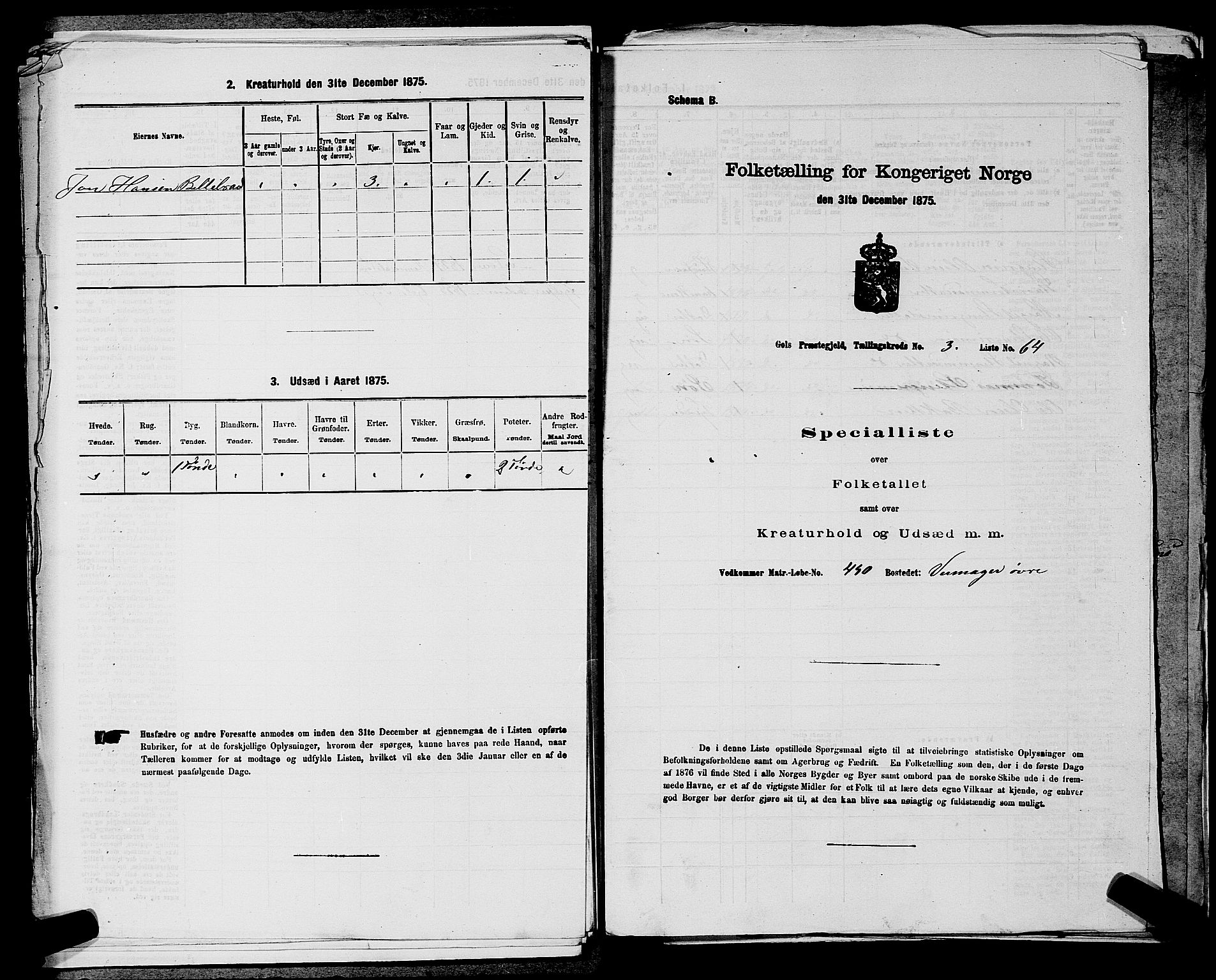 SAKO, Folketelling 1875 for 0617P Gol prestegjeld, 1875, s. 584