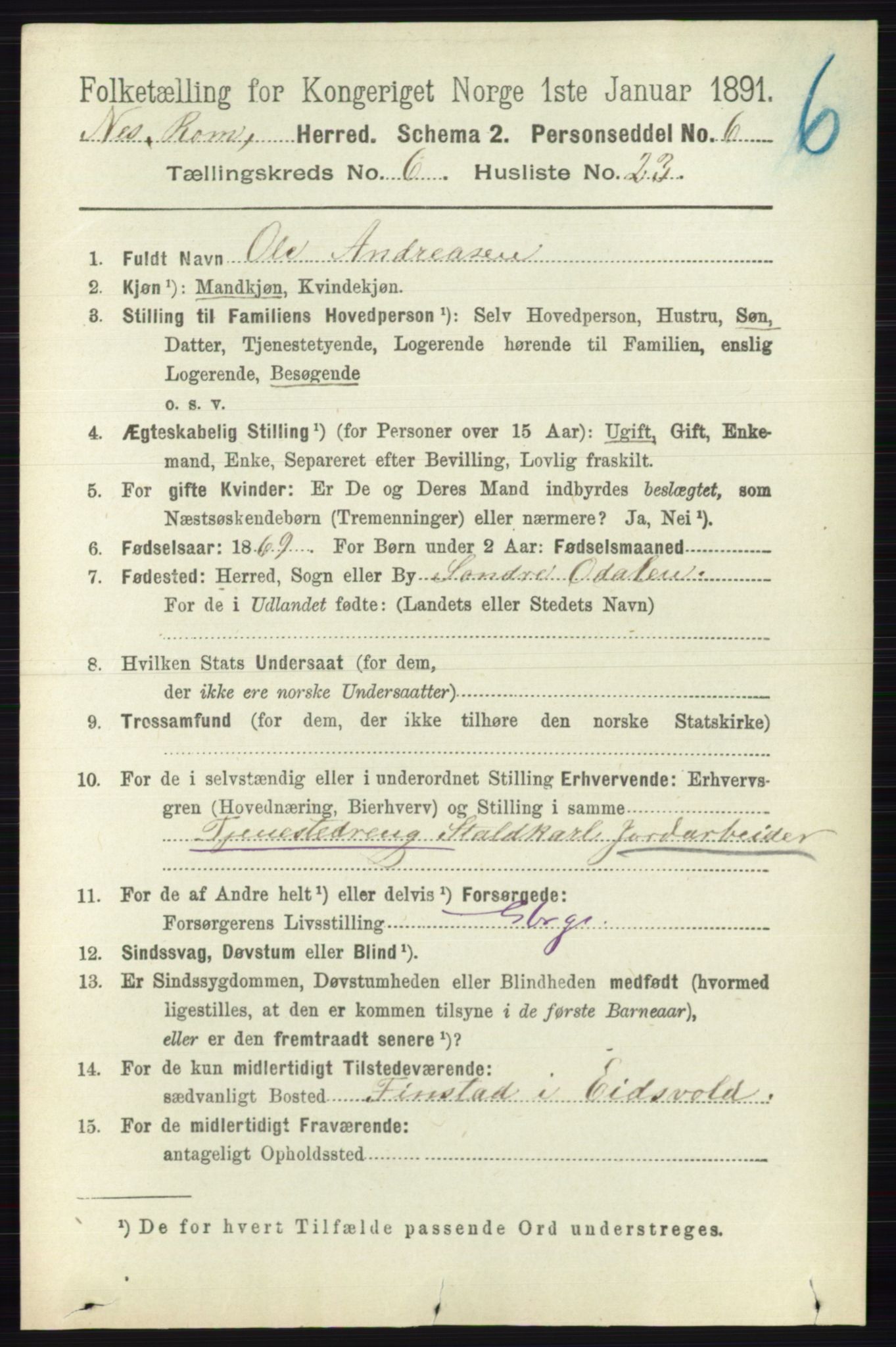 RA, Folketelling 1891 for 0236 Nes herred, 1891, s. 3513