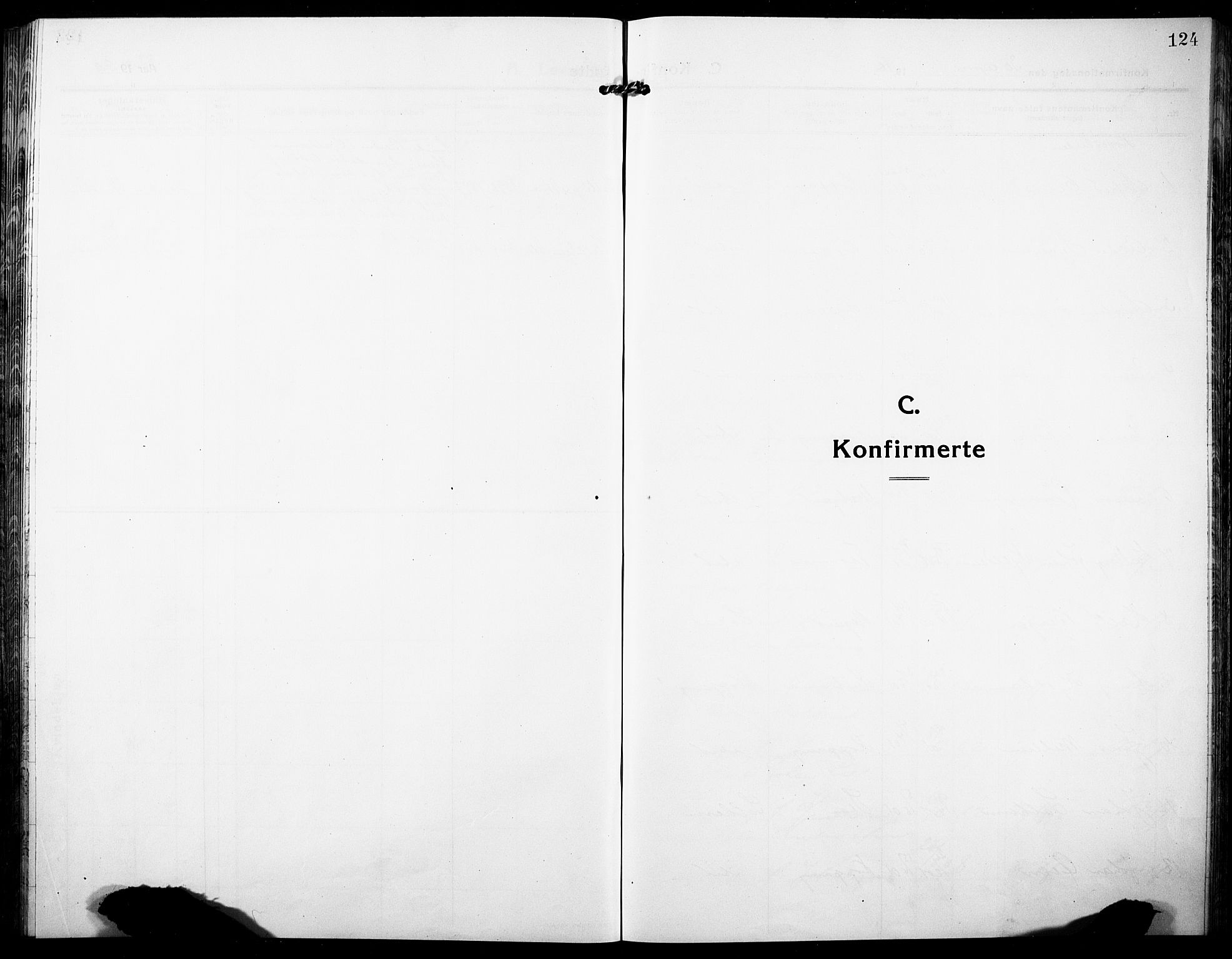 Stor-Elvdal prestekontor, SAH/PREST-052/H/Ha/Hab/L0005: Klokkerbok nr. 5, 1913-1932, s. 124