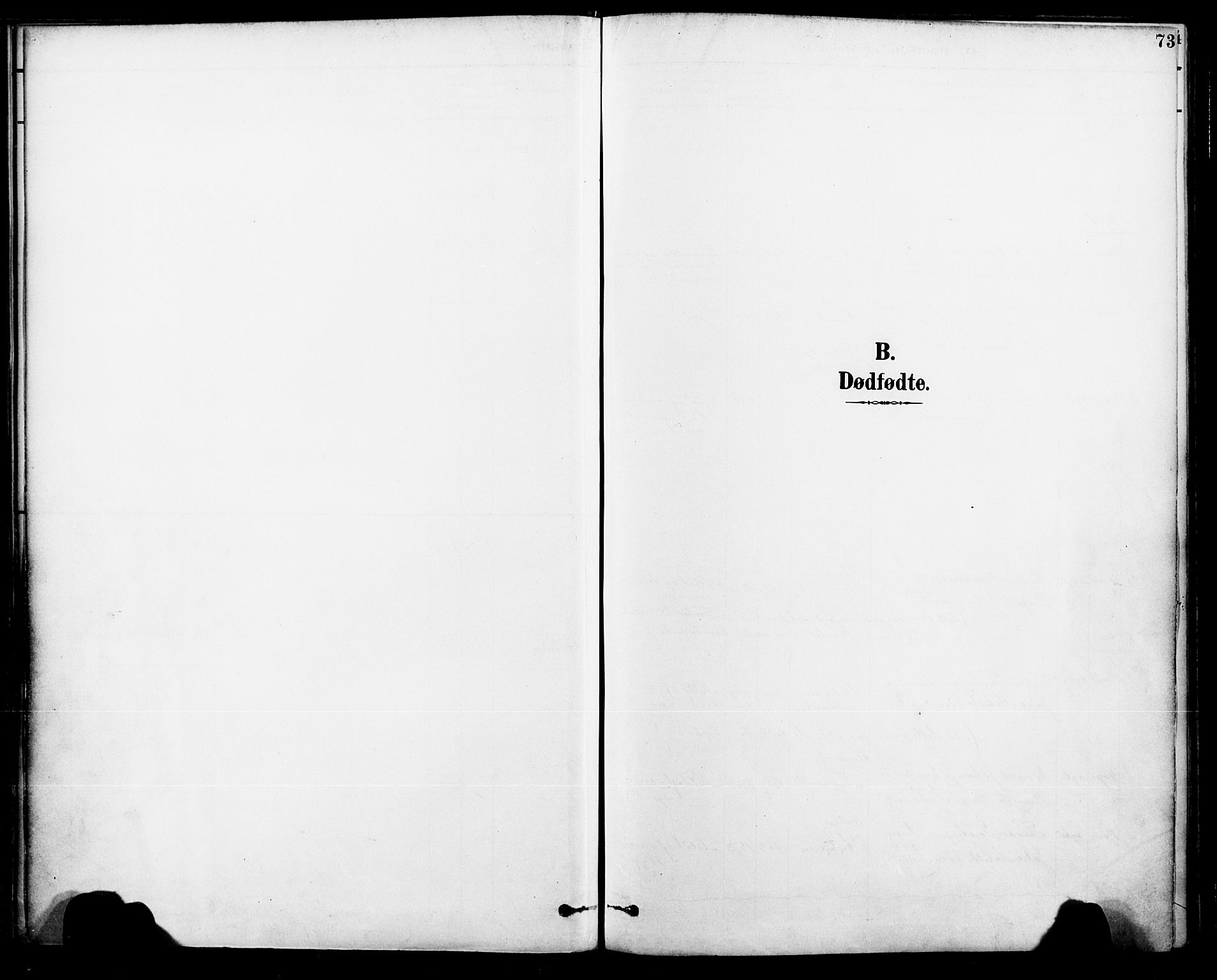 Ministerialprotokoller, klokkerbøker og fødselsregistre - Nordland, AV/SAT-A-1459/885/L1205: Ministerialbok nr. 885A06, 1892-1905, s. 73