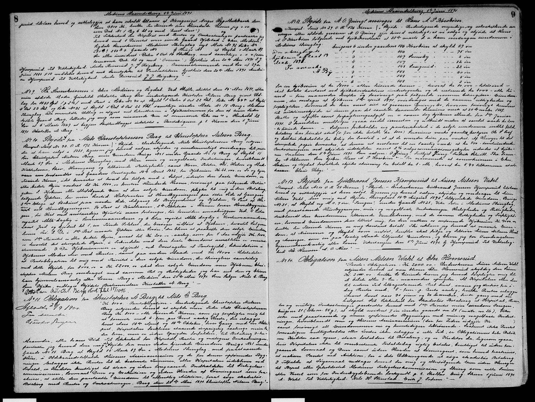 Eiker, Modum og Sigdal sorenskriveri, SAKO/A-123/G/Ga/Gaa/L0021: Pantebok nr. I 21, 1891-1894, s. 8-9
