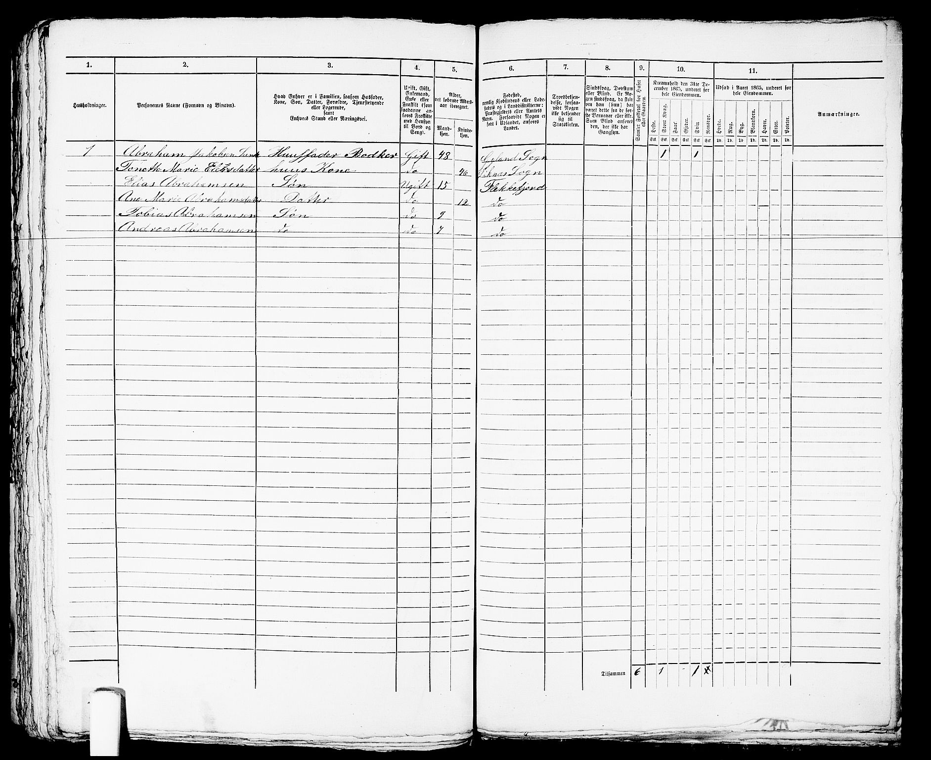 RA, Folketelling 1865 for 1004B Flekkefjord prestegjeld, Flekkefjord kjøpstad, 1865, s. 493