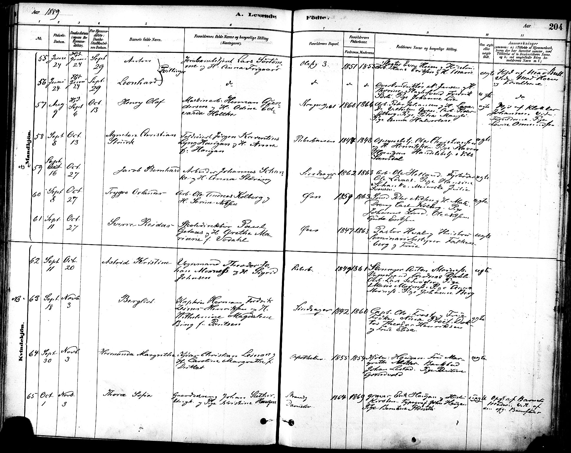 Ministerialprotokoller, klokkerbøker og fødselsregistre - Sør-Trøndelag, SAT/A-1456/601/L0057: Ministerialbok nr. 601A25, 1877-1891, s. 204