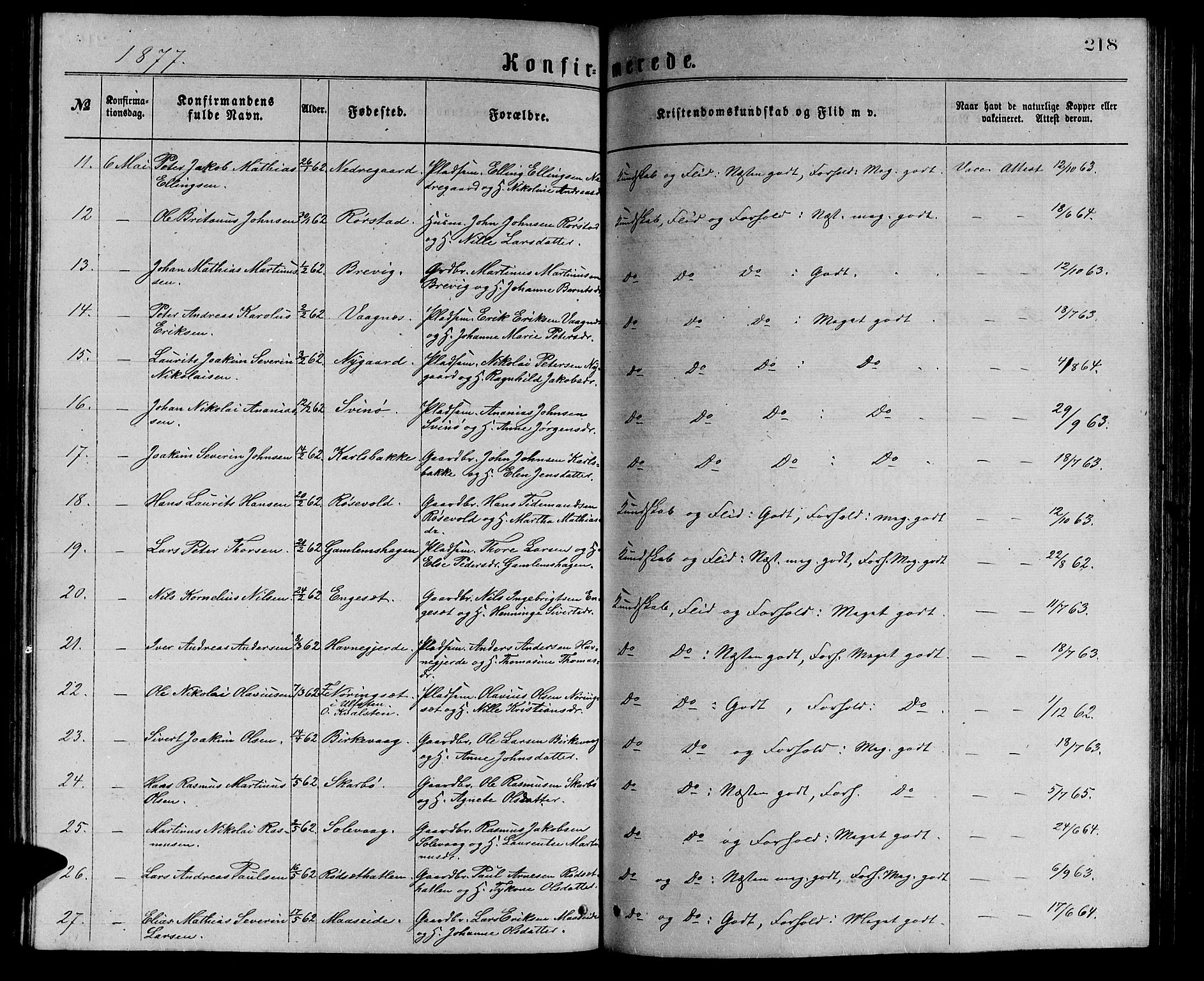 Ministerialprotokoller, klokkerbøker og fødselsregistre - Møre og Romsdal, AV/SAT-A-1454/528/L0429: Klokkerbok nr. 528C10, 1872-1886, s. 218