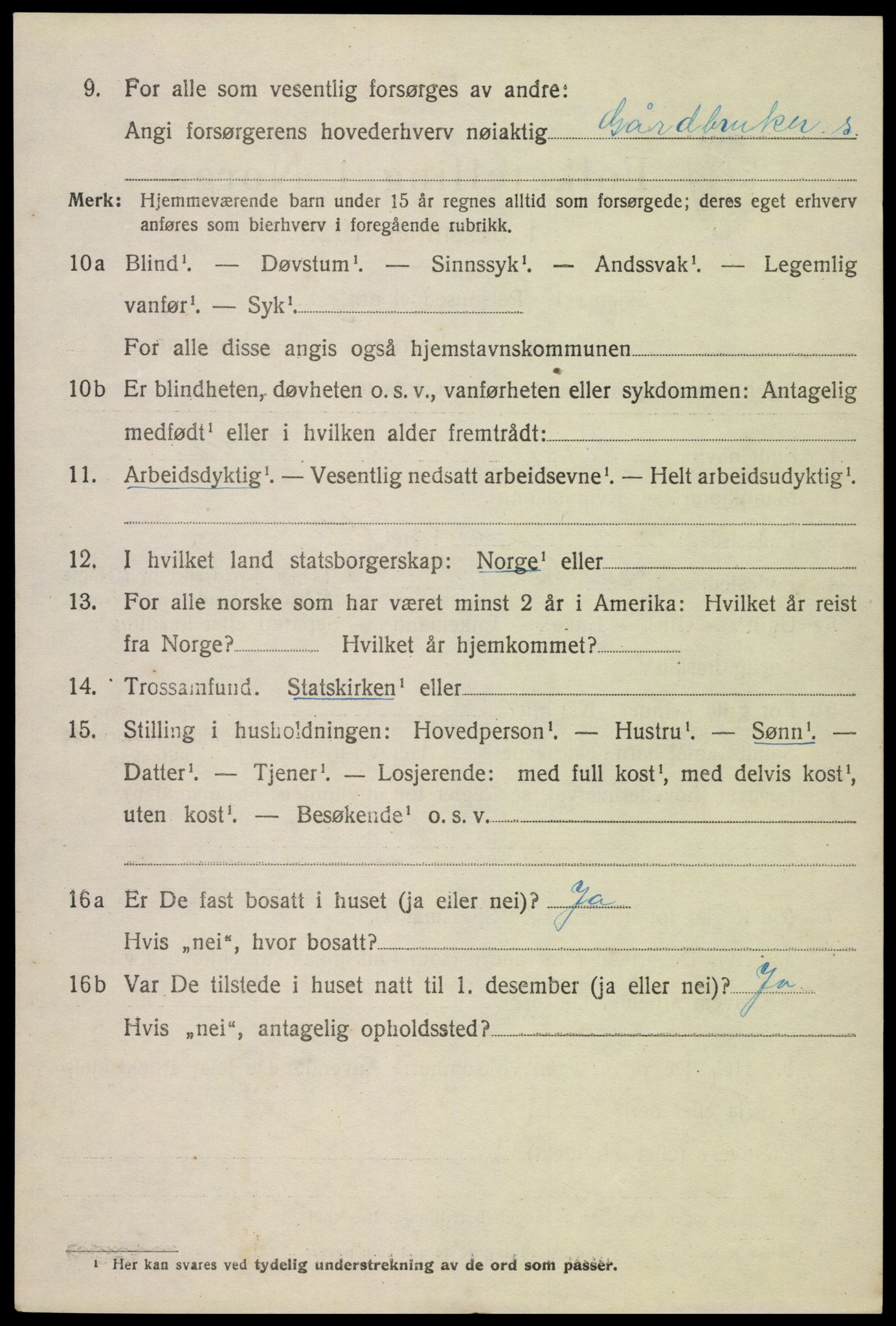 SAK, Folketelling 1920 for 0936 Hornnes herred, 1920, s. 2892