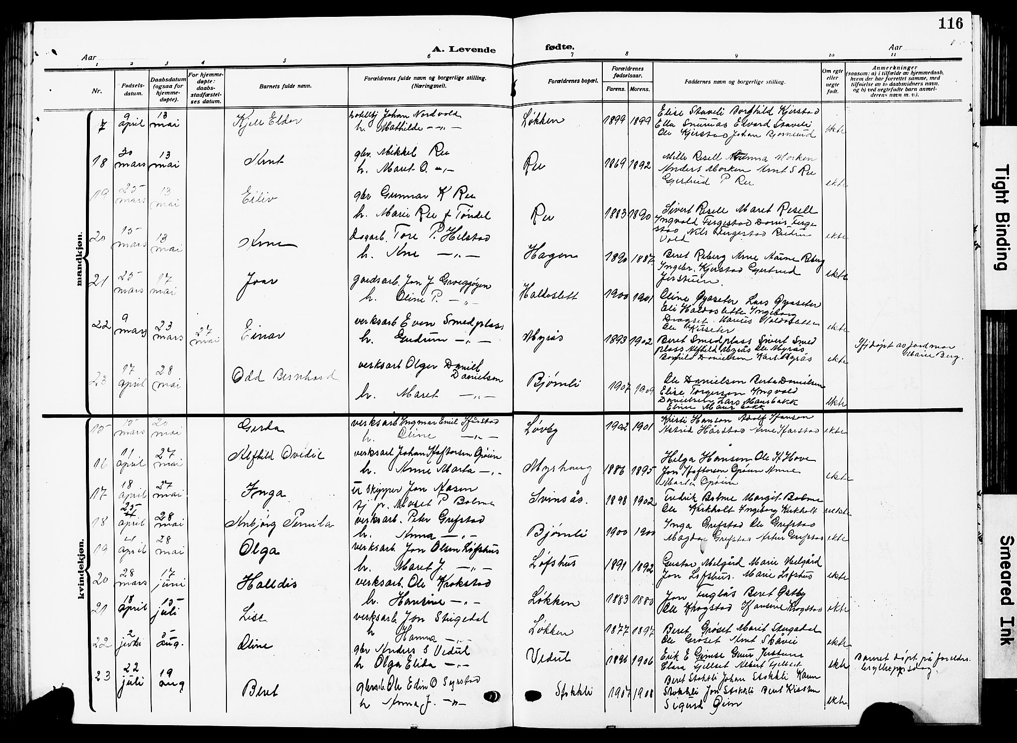 Ministerialprotokoller, klokkerbøker og fødselsregistre - Sør-Trøndelag, AV/SAT-A-1456/672/L0865: Klokkerbok nr. 672C04, 1914-1928, s. 116