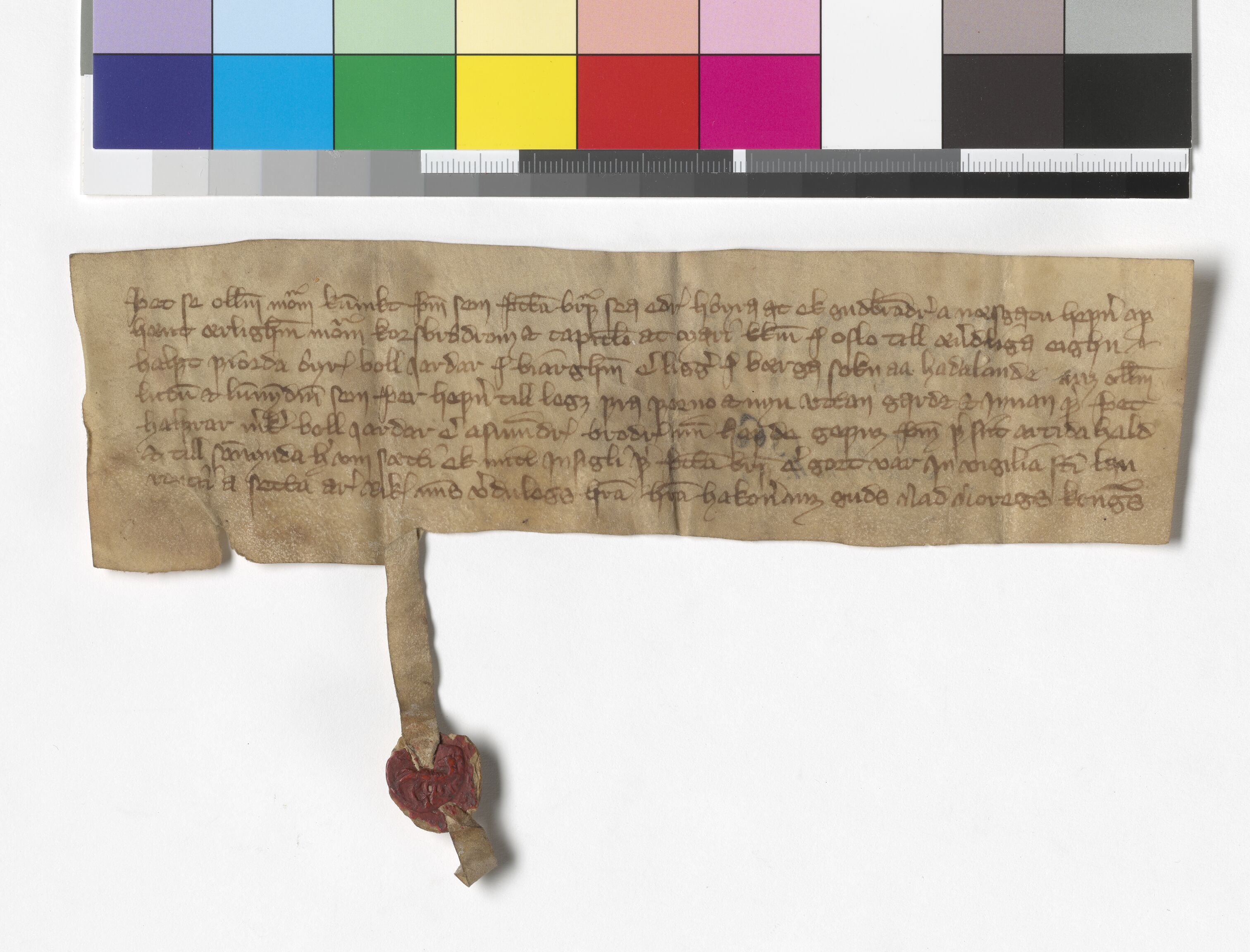 Riksarkivets diplomsamling, AV/RA-EA-5965/F05/L0172: NRA AM fasc. 69 nr. 11 - fasc. 70 nr. 10, 1361-1362, s. 2