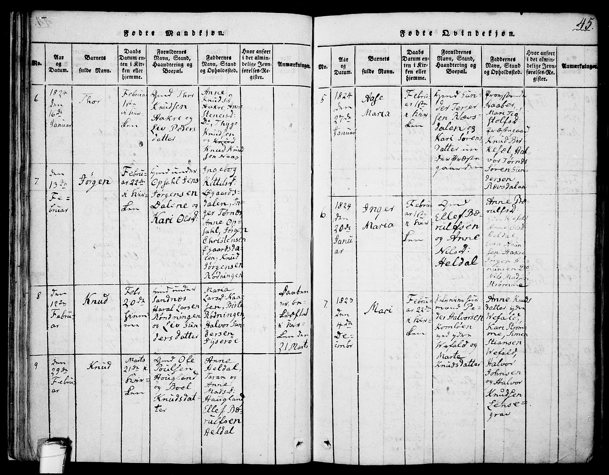 Drangedal kirkebøker, SAKO/A-258/F/Fa/L0005: Ministerialbok nr. 5 /1, 1814-1831, s. 45
