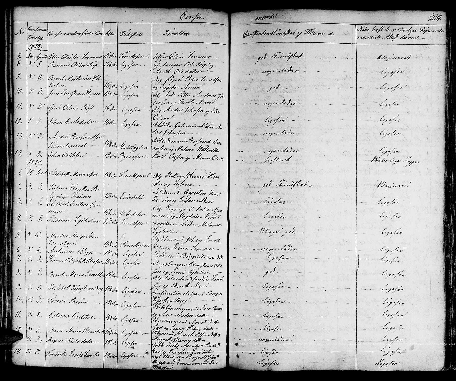 Ministerialprotokoller, klokkerbøker og fødselsregistre - Sør-Trøndelag, AV/SAT-A-1456/601/L0045: Ministerialbok nr. 601A13, 1821-1831, s. 206